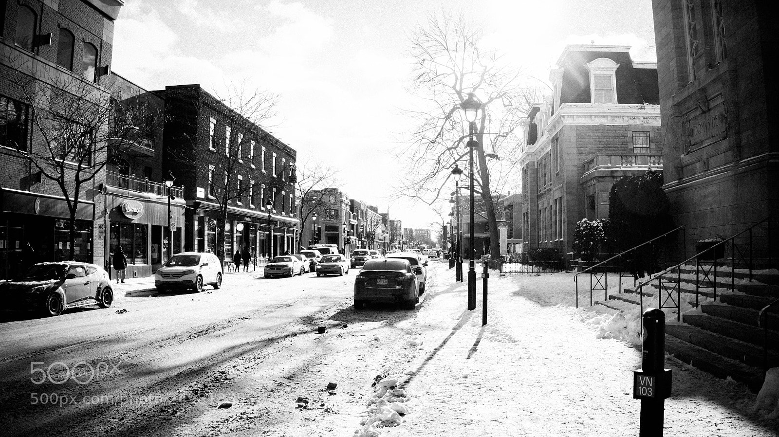 Sony Alpha a3500 sample photo. Montreal photography