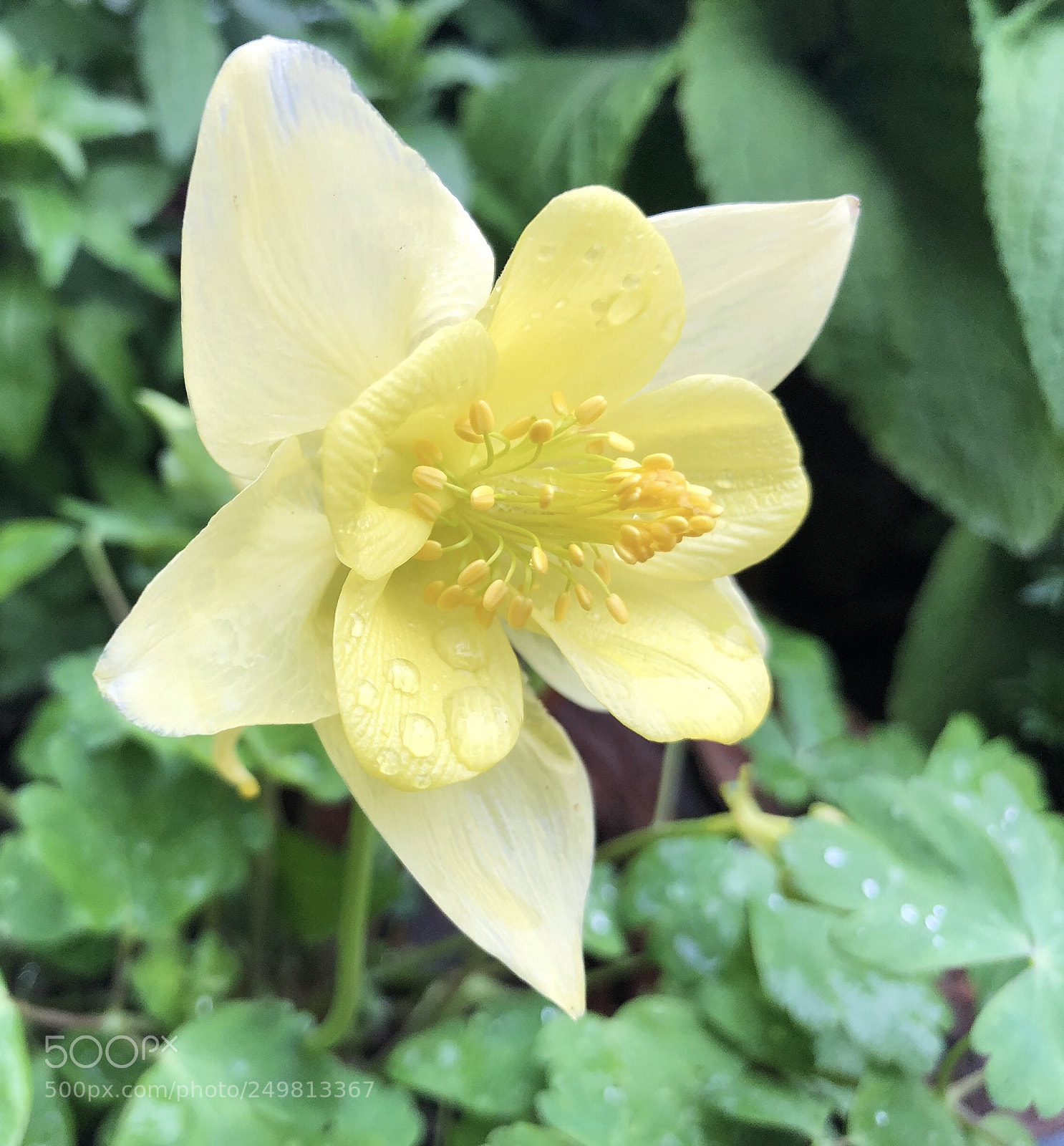 Apple iPhone X sample photo. Untitled photography
