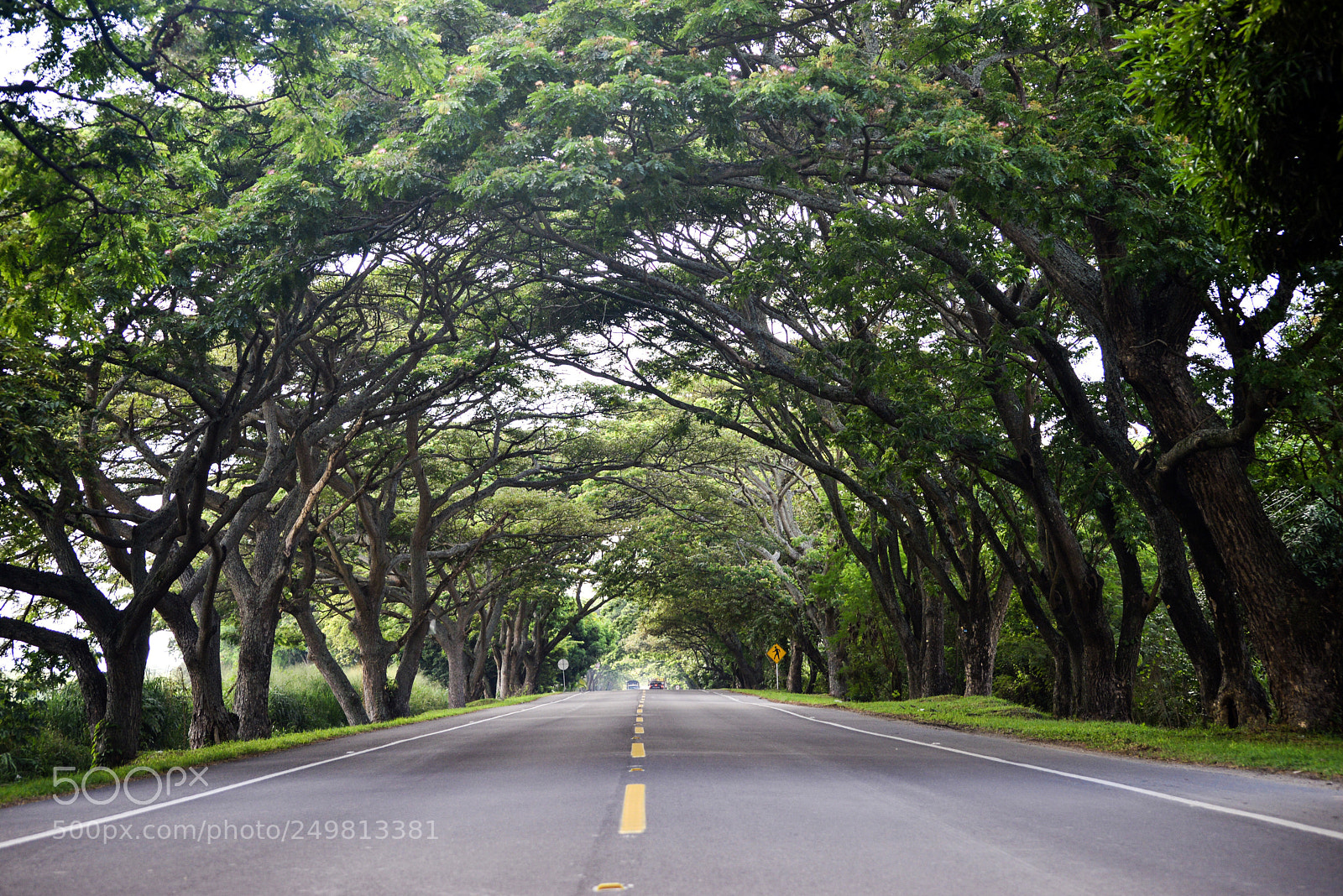 Nikon D610 sample photo. Espinal photography