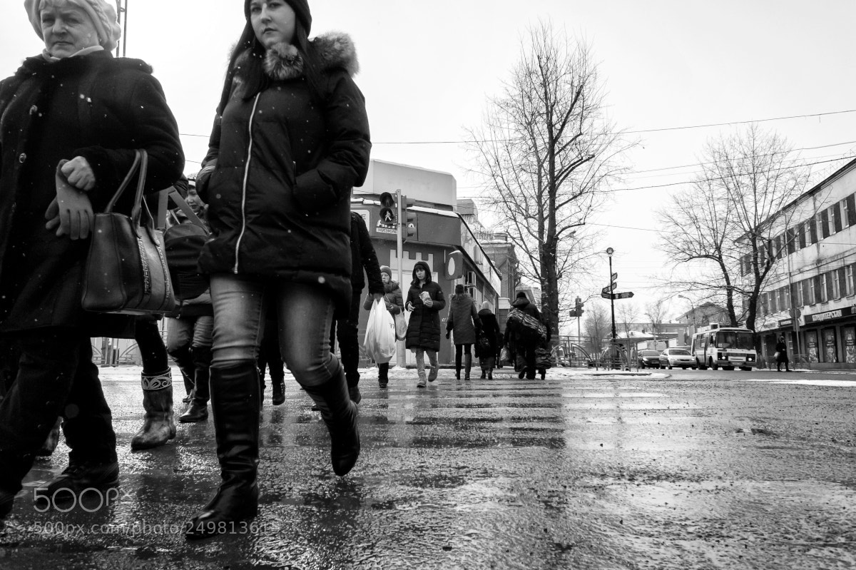 Sony Alpha NEX-5 sample photo. Untitled photography