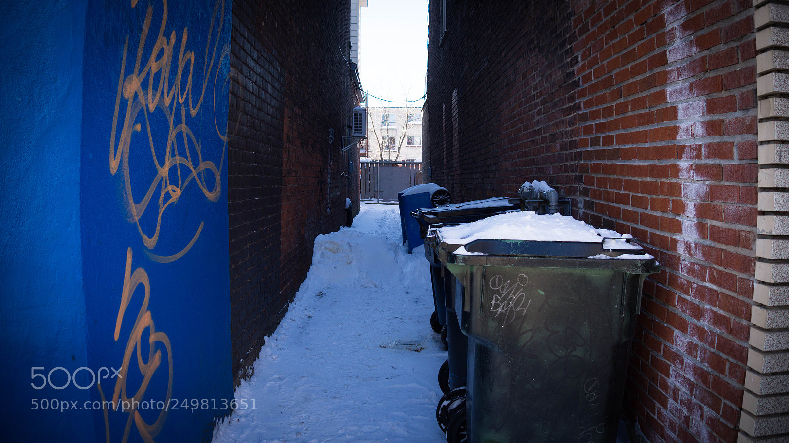 Sony Alpha a3500 sample photo. Montreal photography