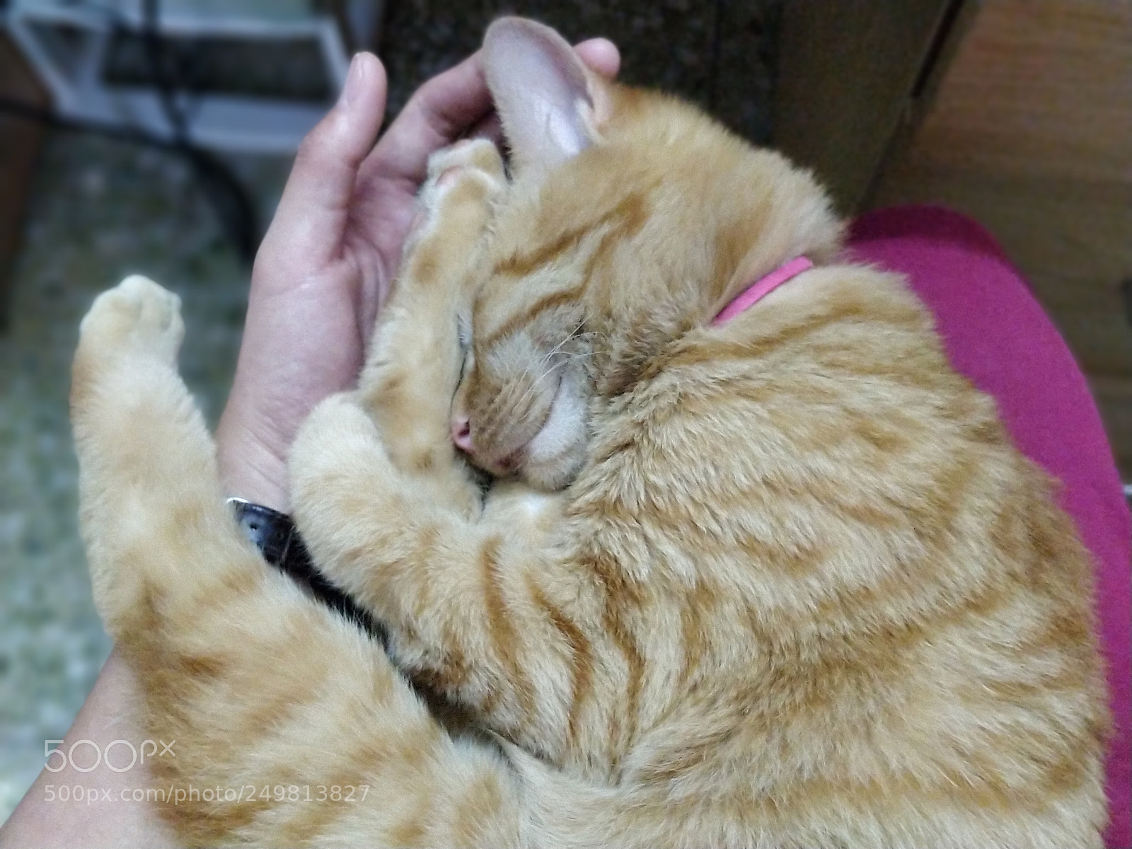 OnePlus 5 sample photo. Untitled photography