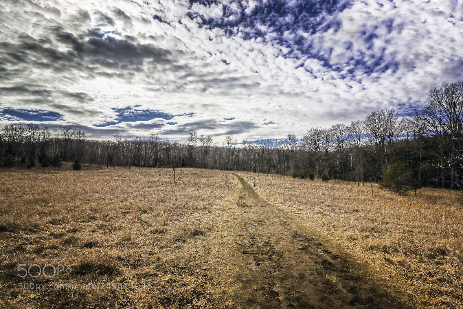 Canon EOS 550D (EOS Rebel T2i / EOS Kiss X4) sample photo. Mono cliffs photography