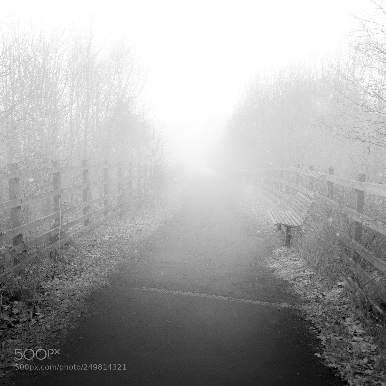 Sony a7R II sample photo. Silent hill photography