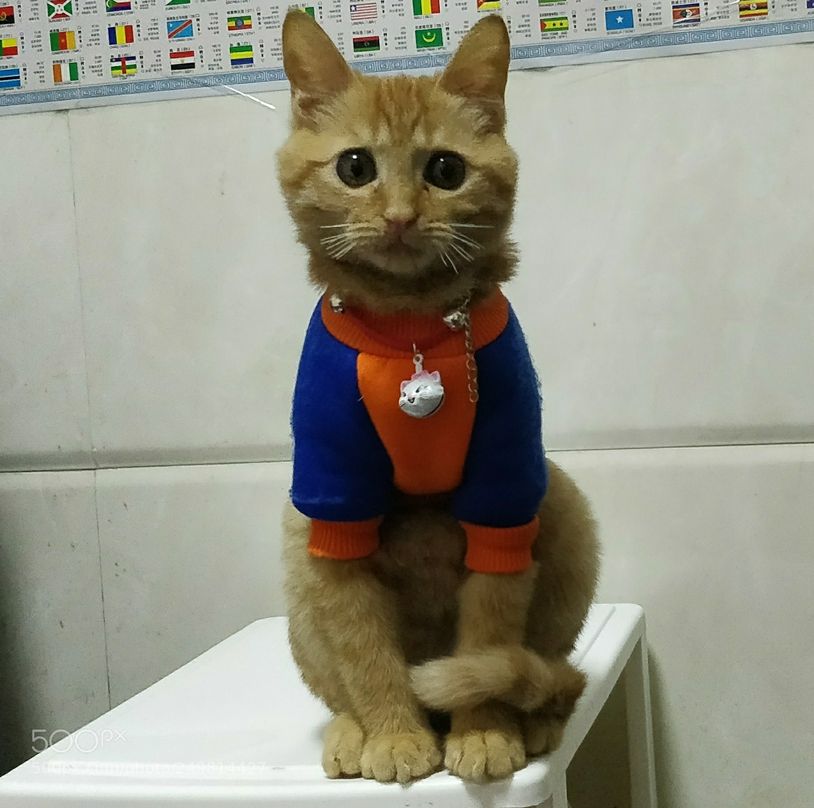 OnePlus 5 sample photo. Untitled photography