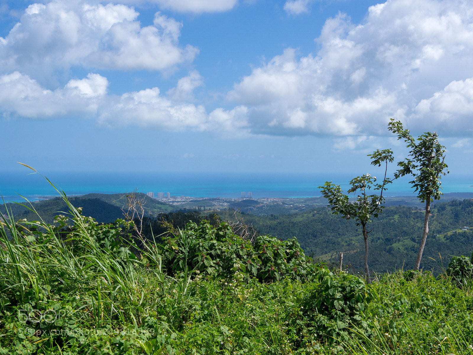 Olympus OM-D E-M10 II sample photo. Yunque remix - 01 photography