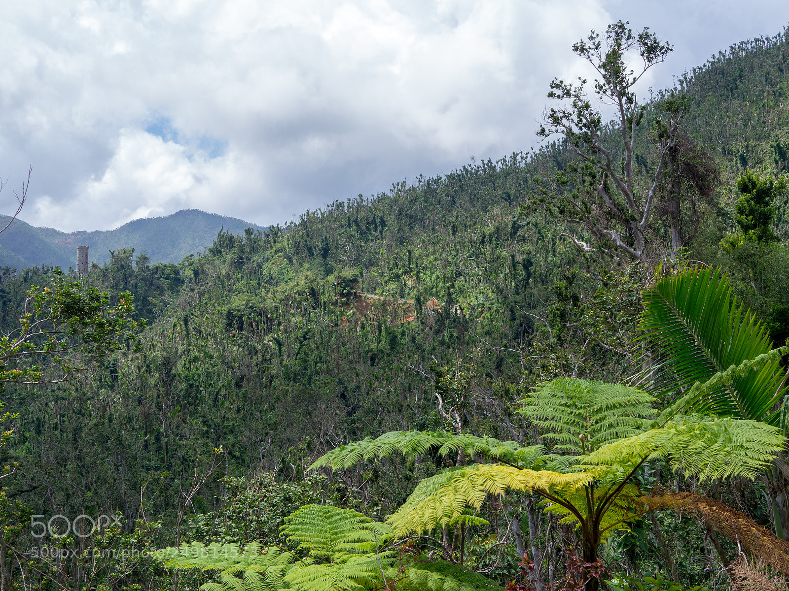 Olympus OM-D E-M10 II sample photo. Yunque remix - 02 photography