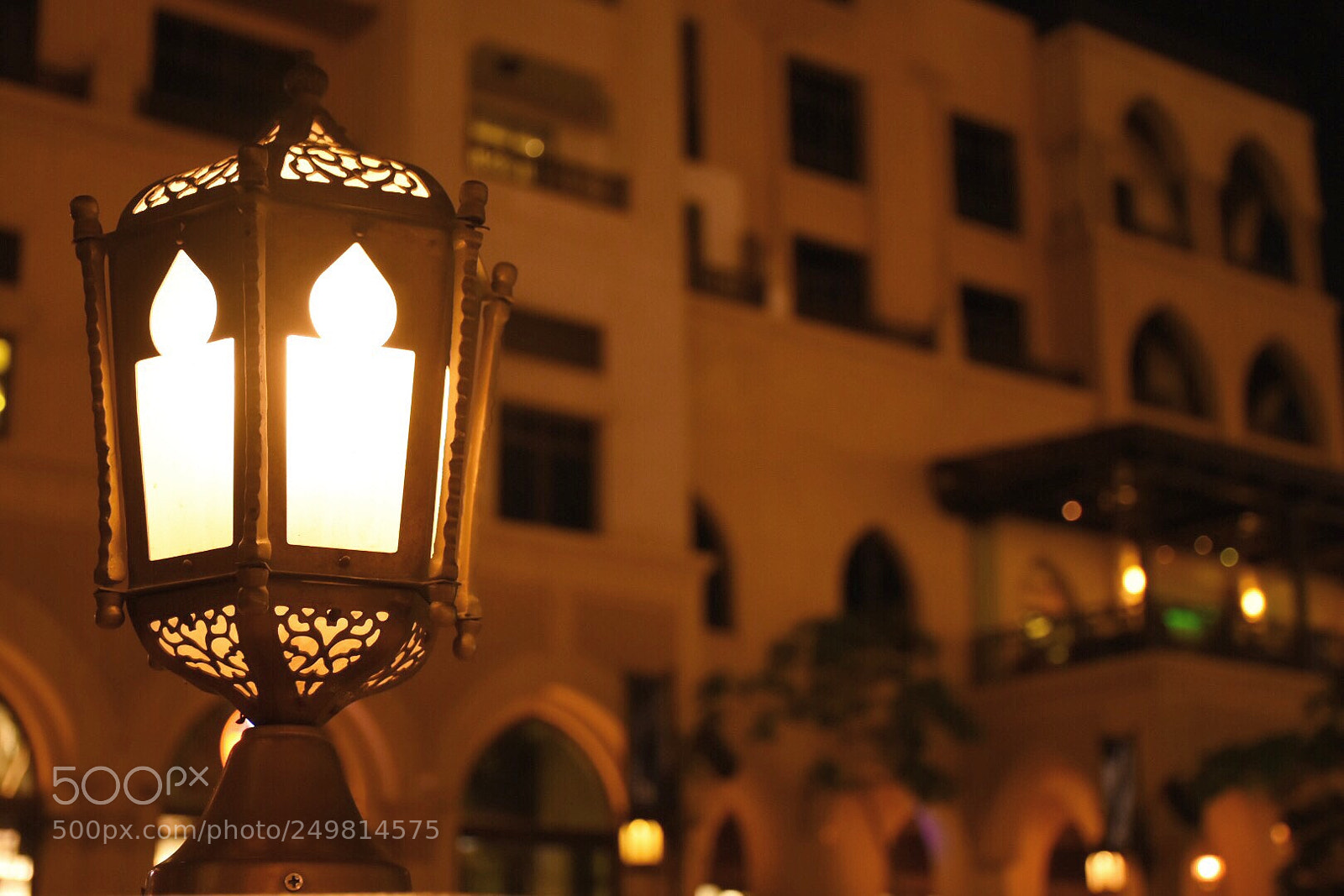 Nikon D7200 sample photo. Untitled photography