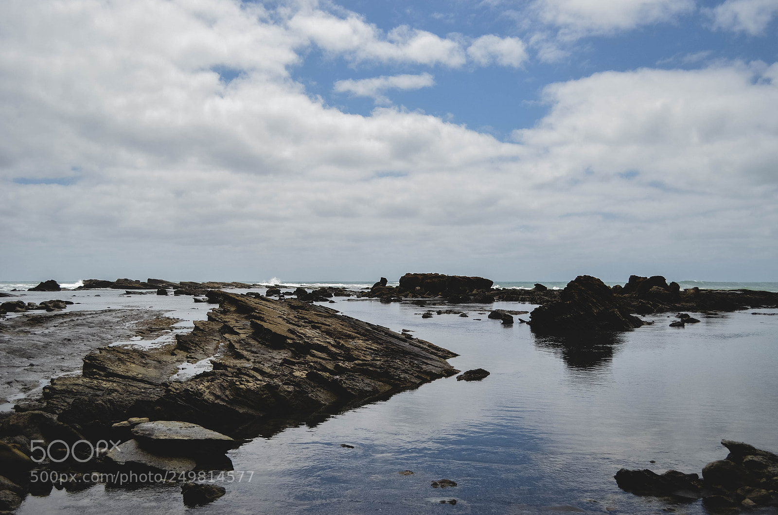 Nikon D5100 sample photo. Untitled photography