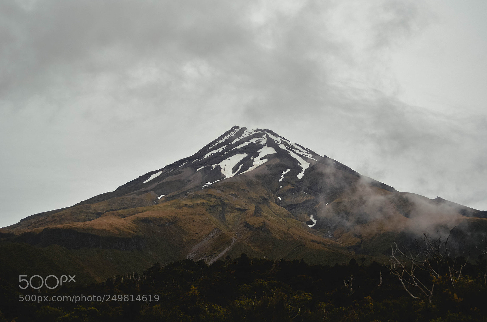 Nikon D5100 sample photo. Taranaki. photography