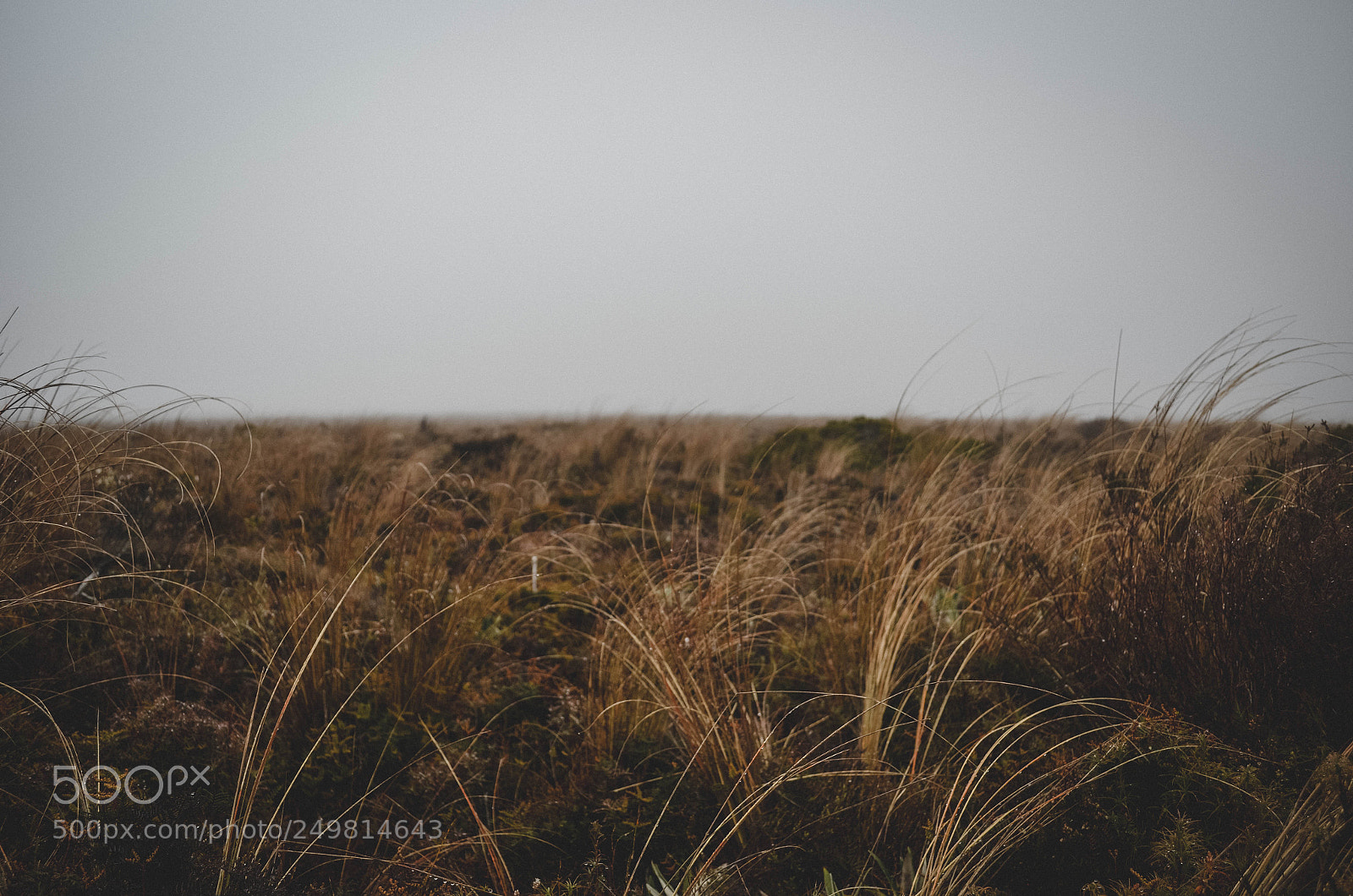 Nikon D5100 sample photo. Untitled photography
