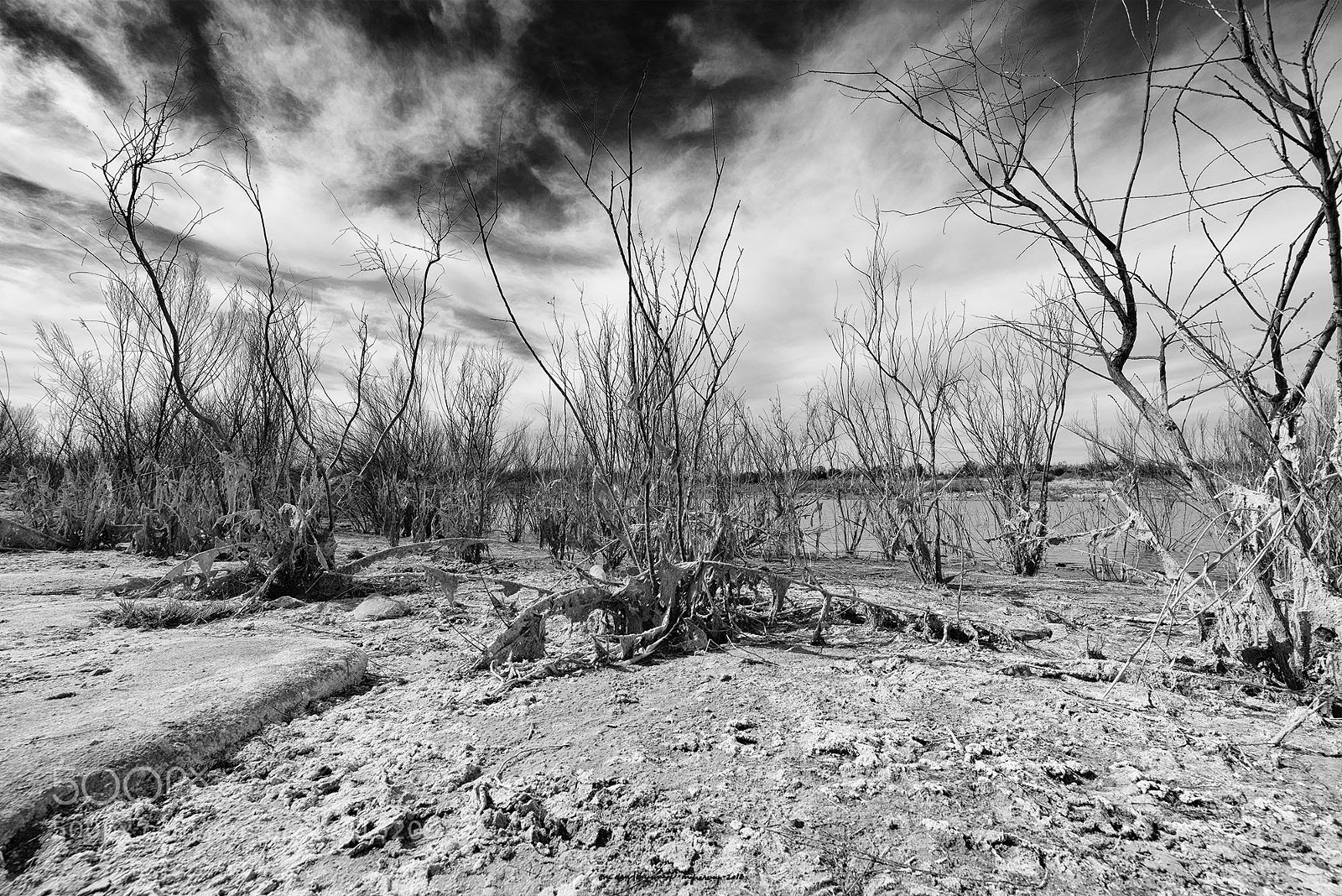 Nikon D810 sample photo. Low water photography