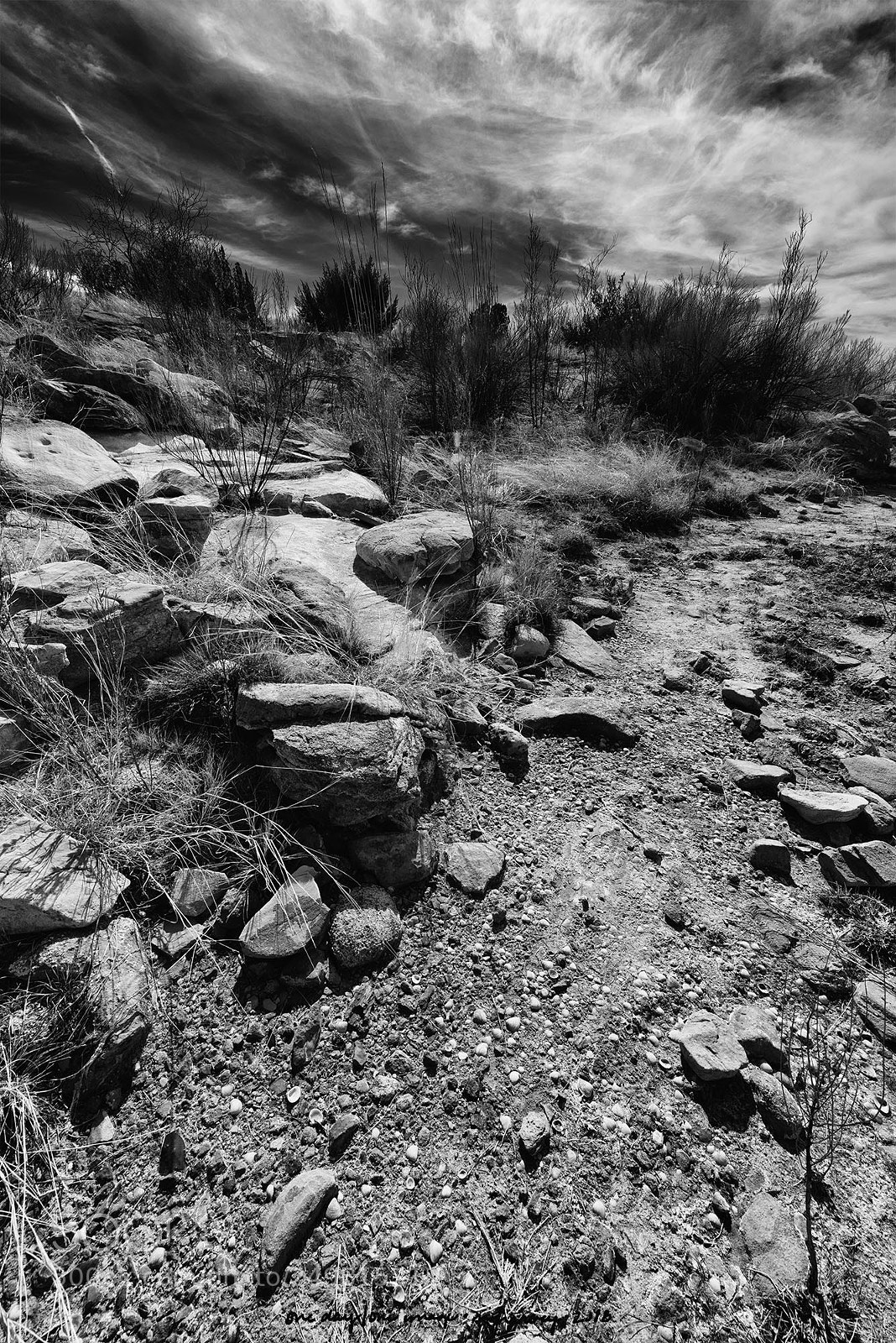Nikon D810 sample photo. As you journey ever photography