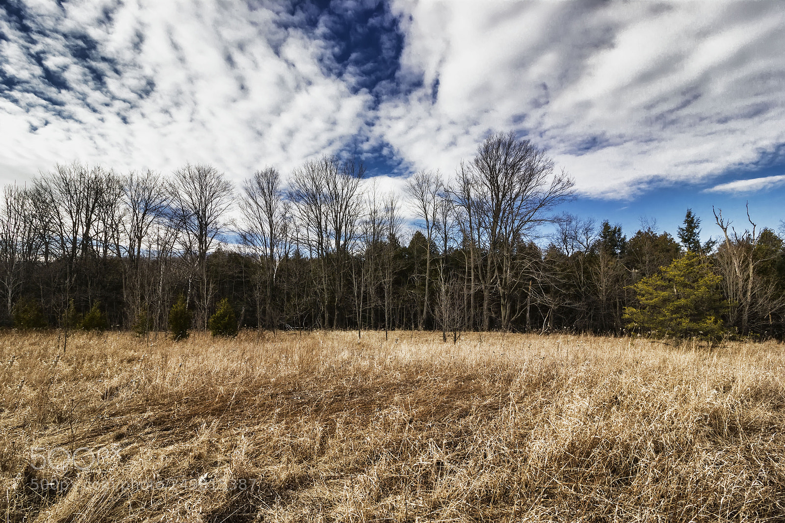 Canon EOS 550D (EOS Rebel T2i / EOS Kiss X4) sample photo. Mono cliffs photography