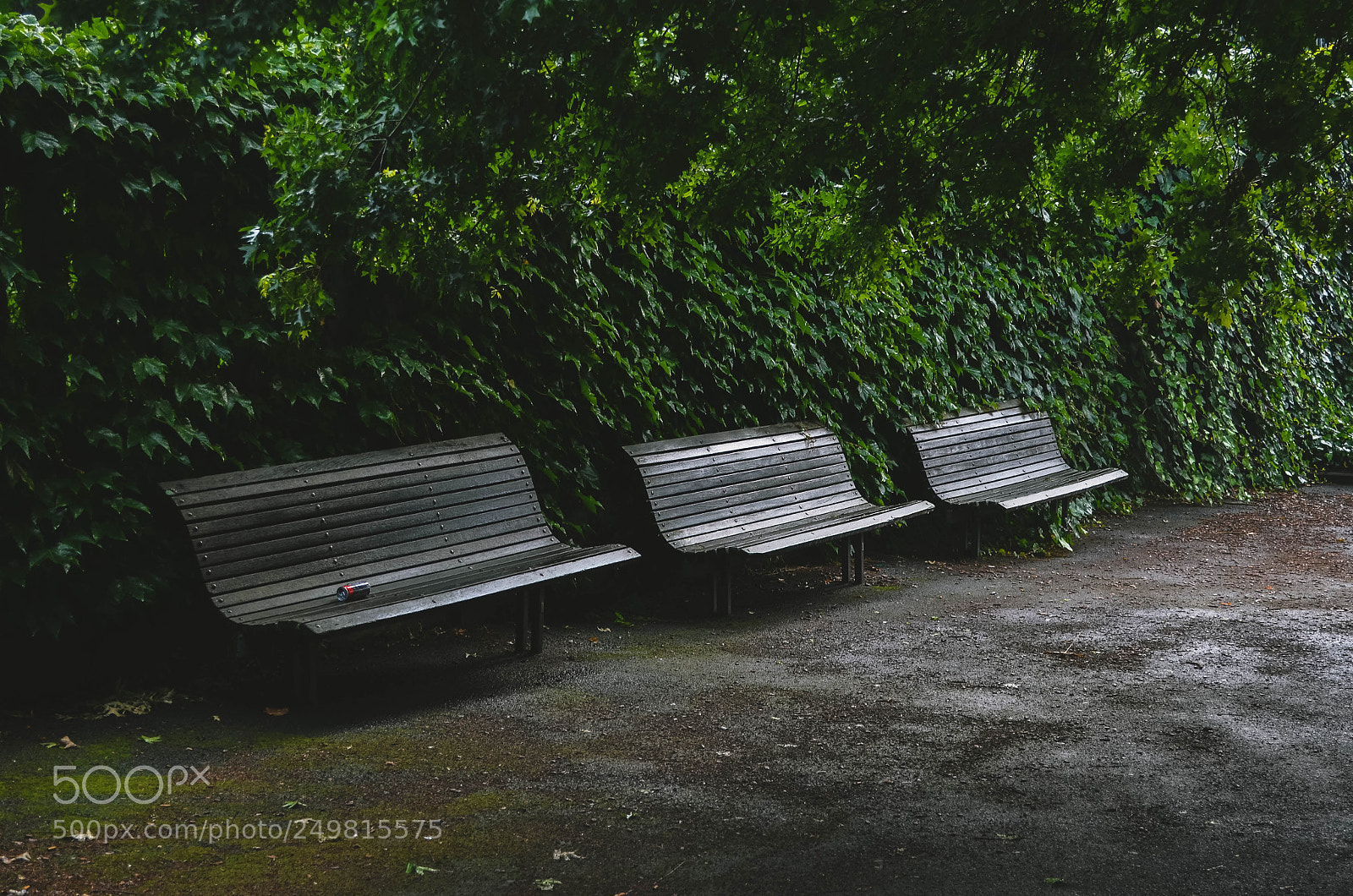 Nikon D5100 sample photo. Akl. photography