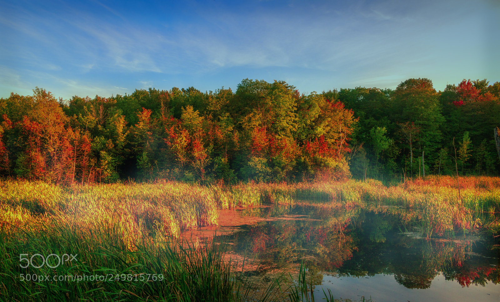 Canon EOS 70D sample photo. Autumn pond photography