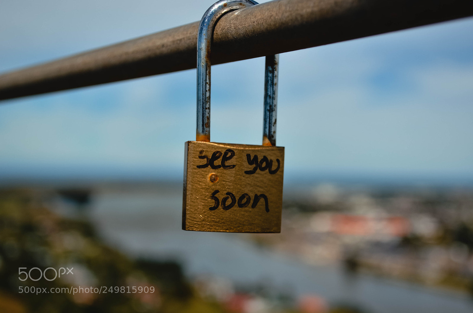 Nikon D5100 sample photo. Untitled photography