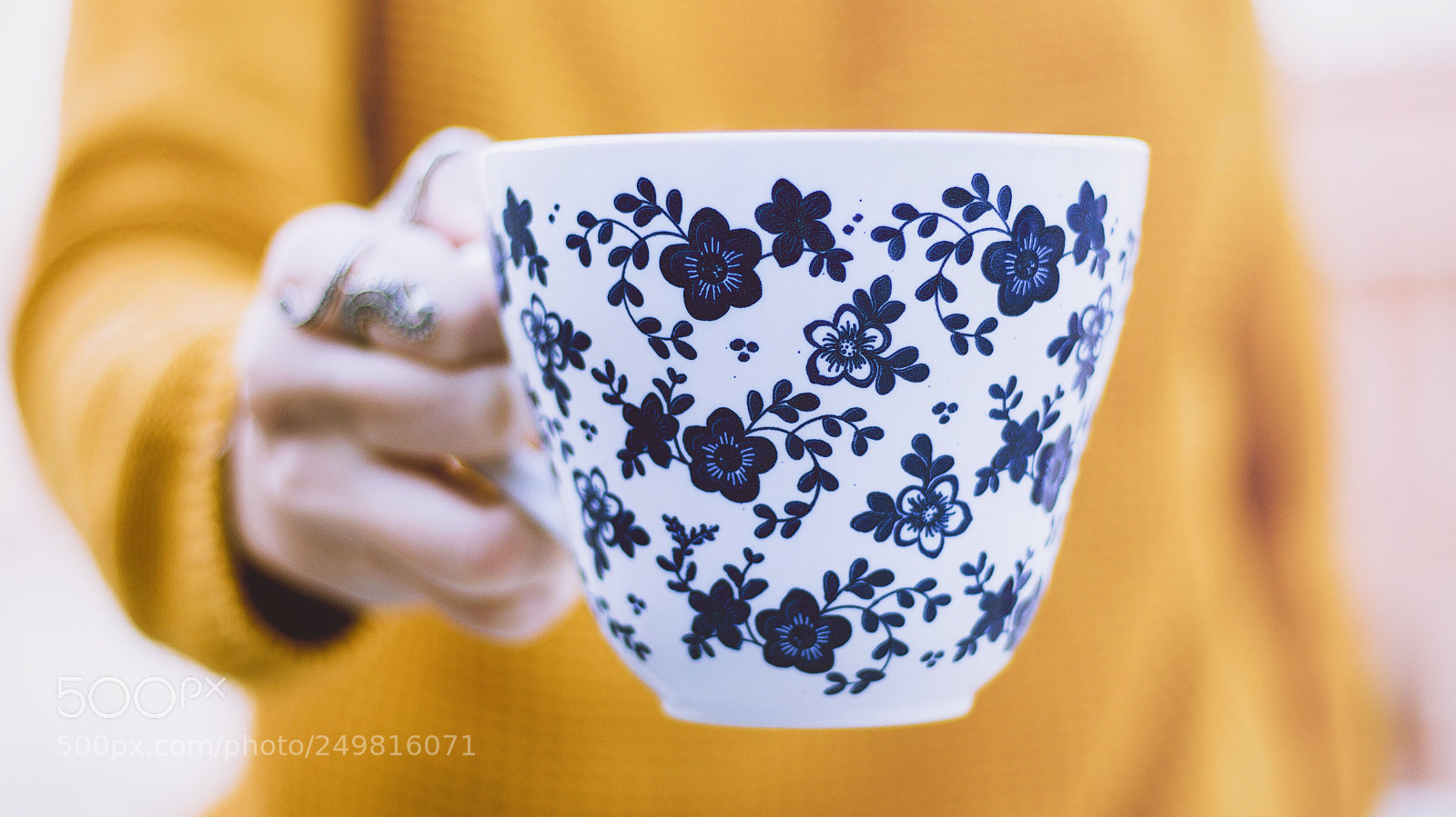 Canon EOS 700D (EOS Rebel T5i / EOS Kiss X7i) sample photo. Untitled photography