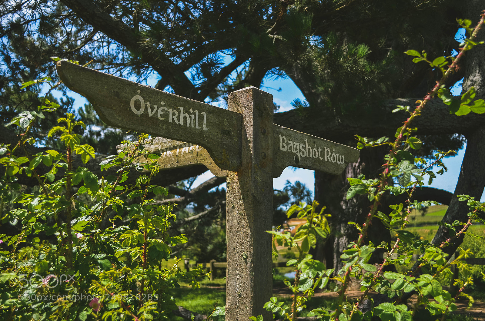 Nikon D5100 sample photo. Hobbiton 2. photography