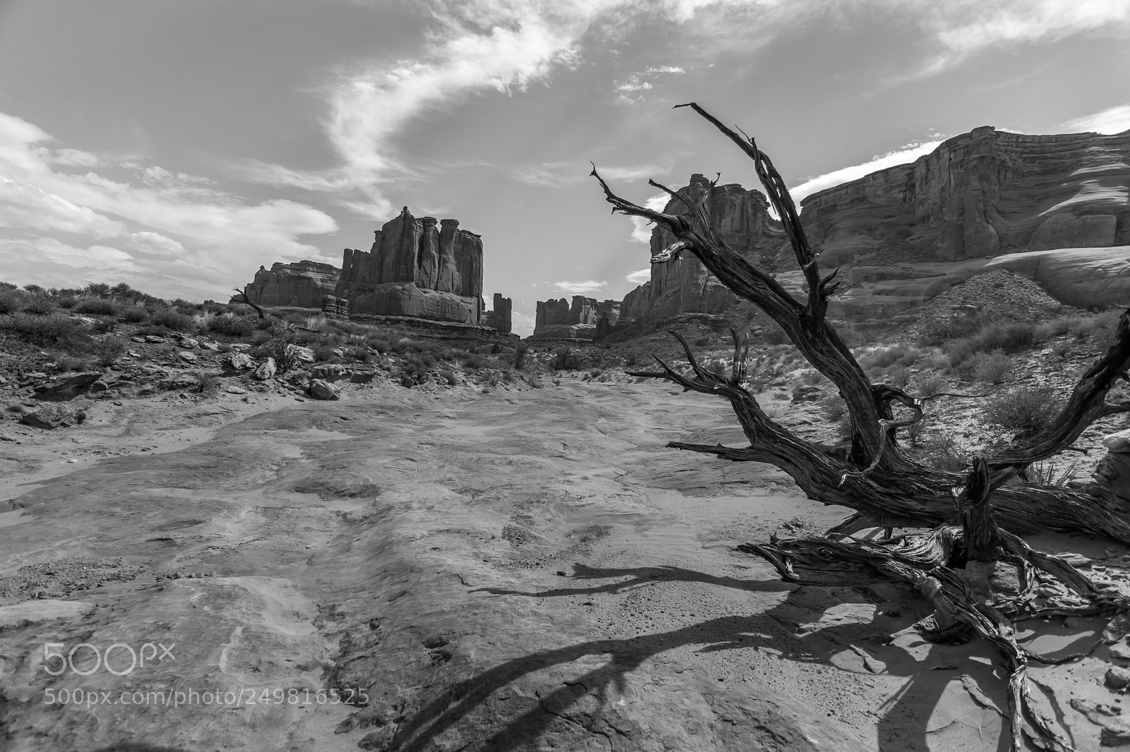 Canon EOS 80D sample photo. Arches national park black photography