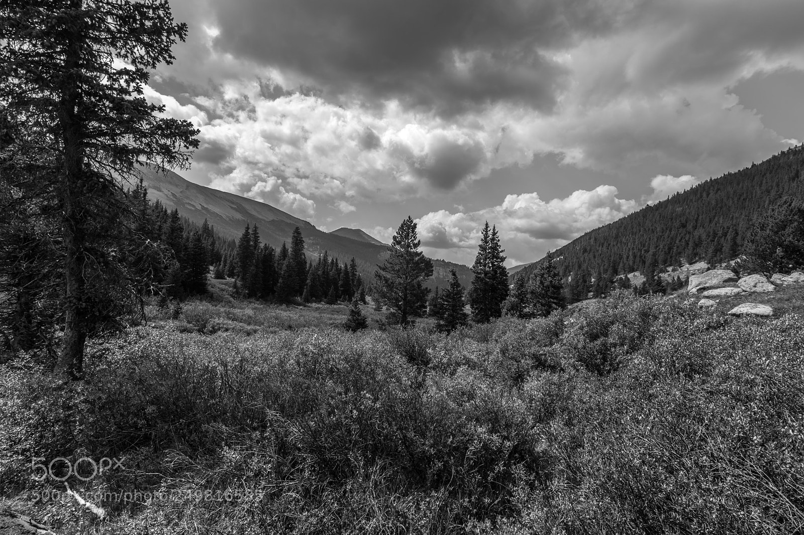 Canon EOS 80D sample photo. Independance co photography