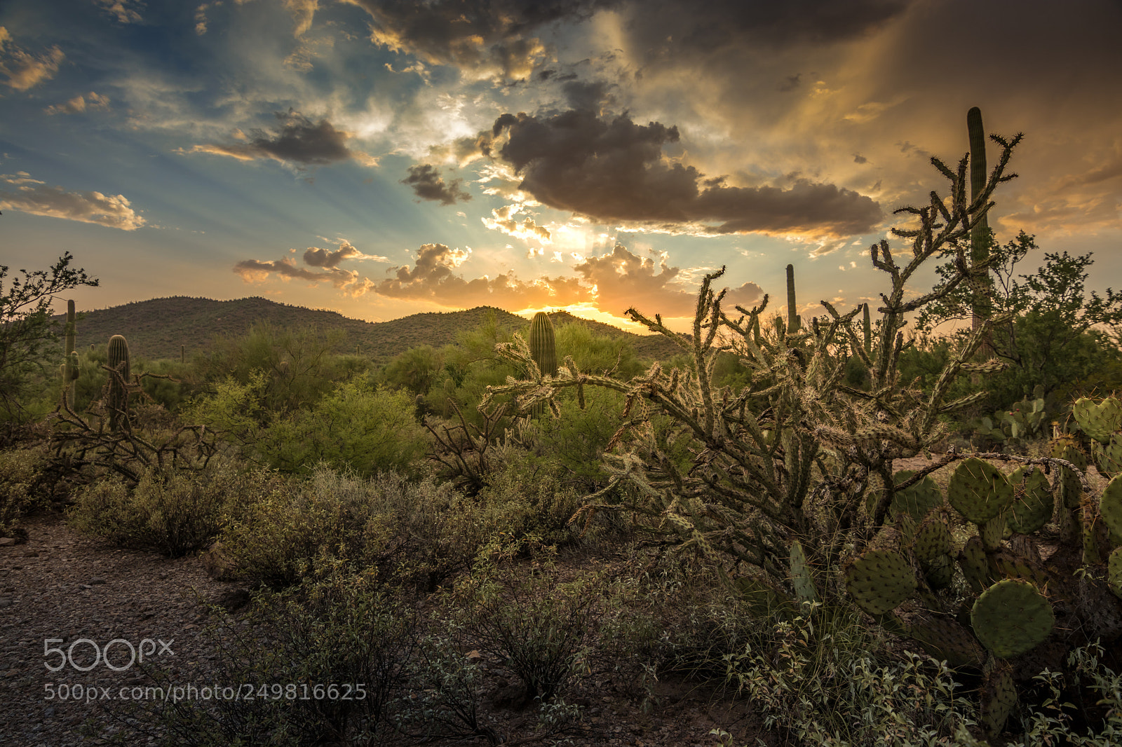 Canon EOS 80D sample photo. Tucson mt park sunset photography