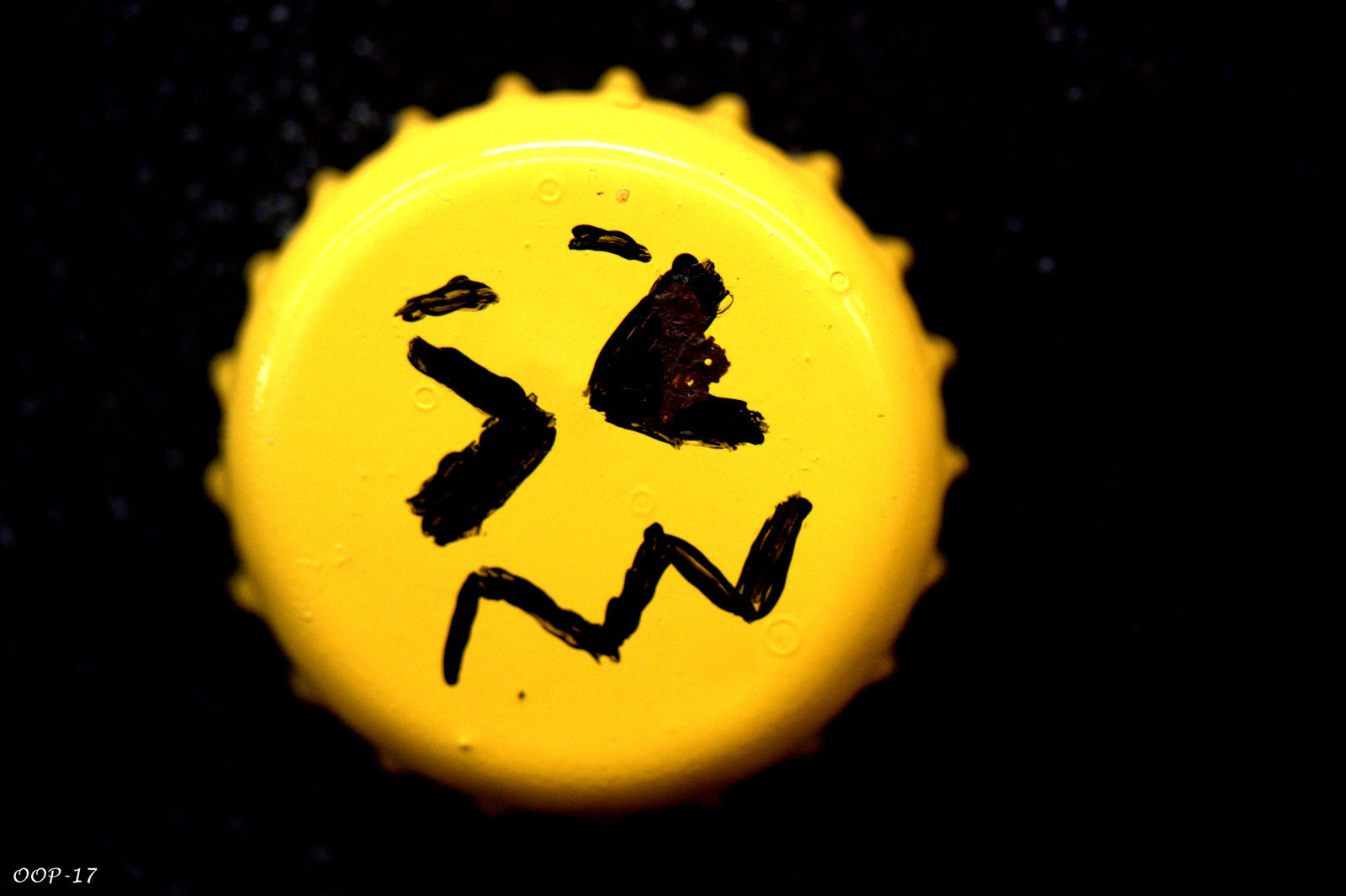 Canon EF-S 60mm F2.8 Macro USM sample photo. Img photography