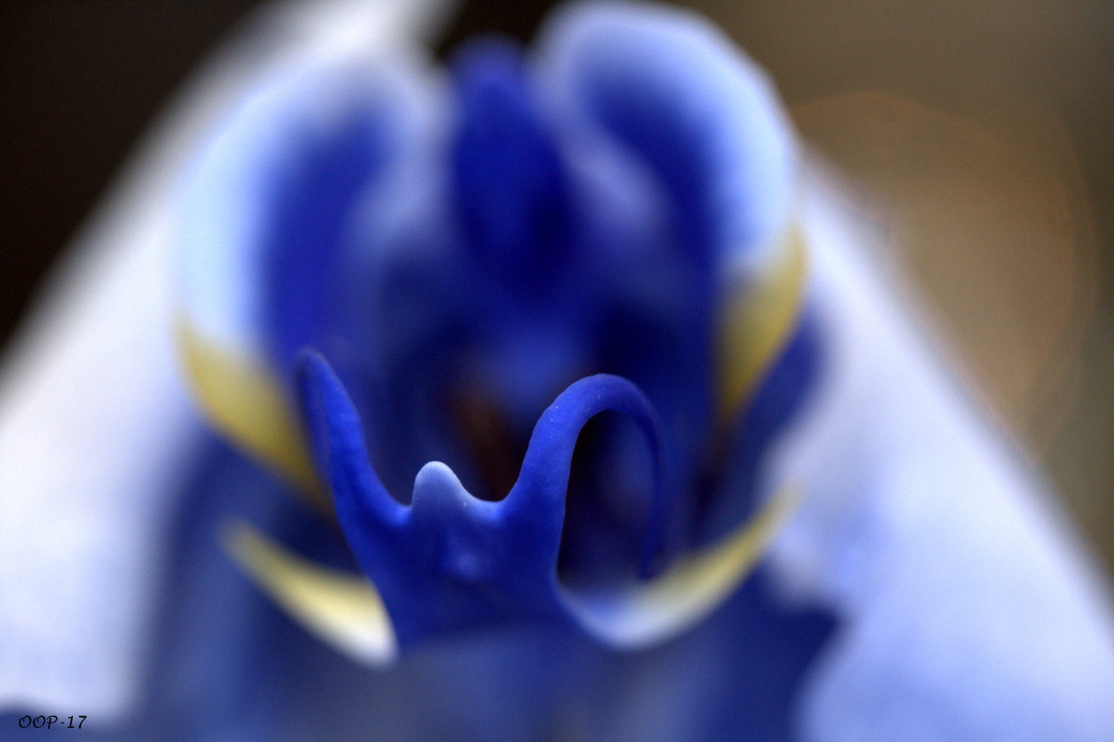 Canon EF-S 60mm F2.8 Macro USM sample photo. Img photography