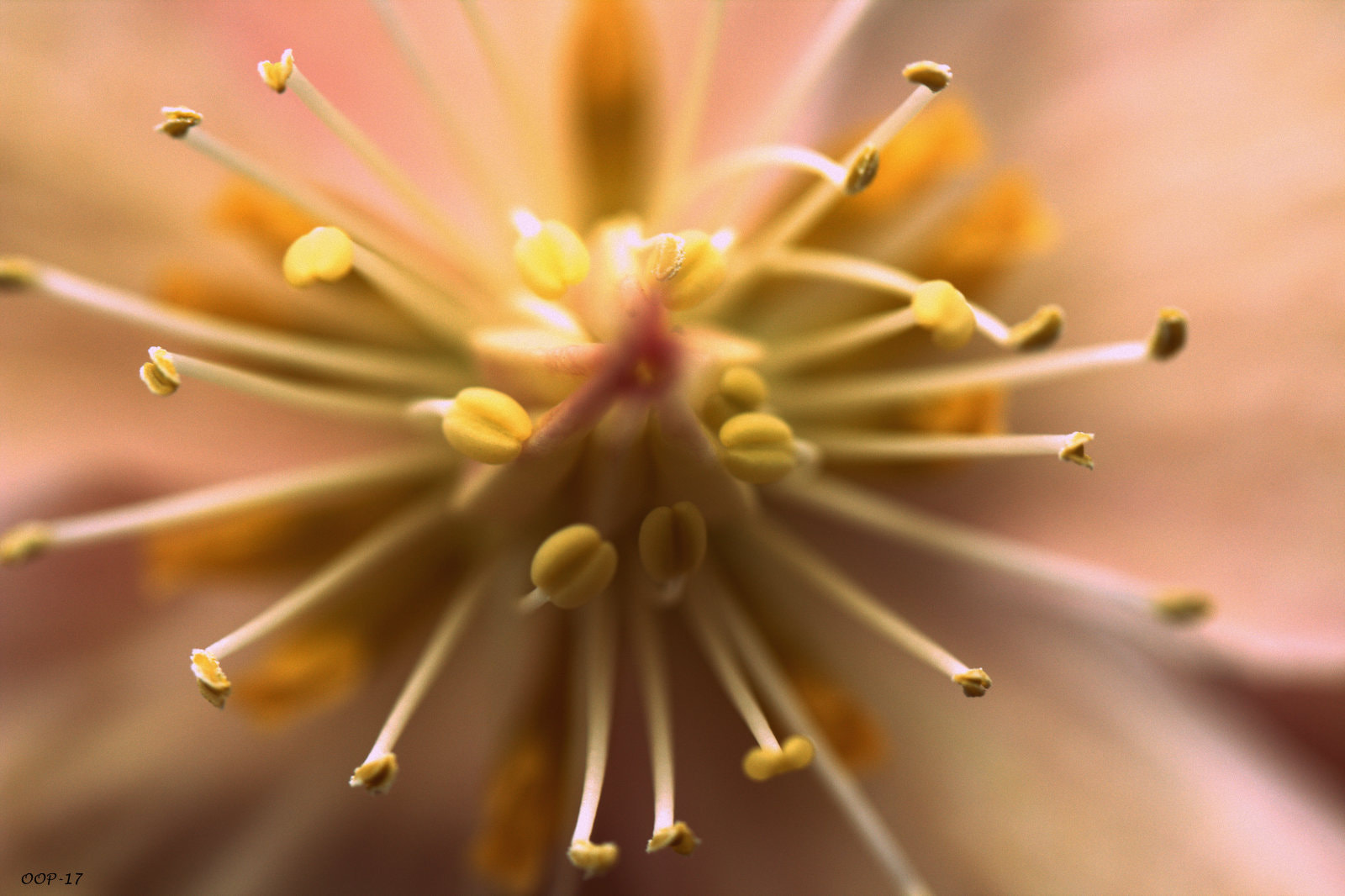Canon EF-S 60mm F2.8 Macro USM sample photo. Img photography