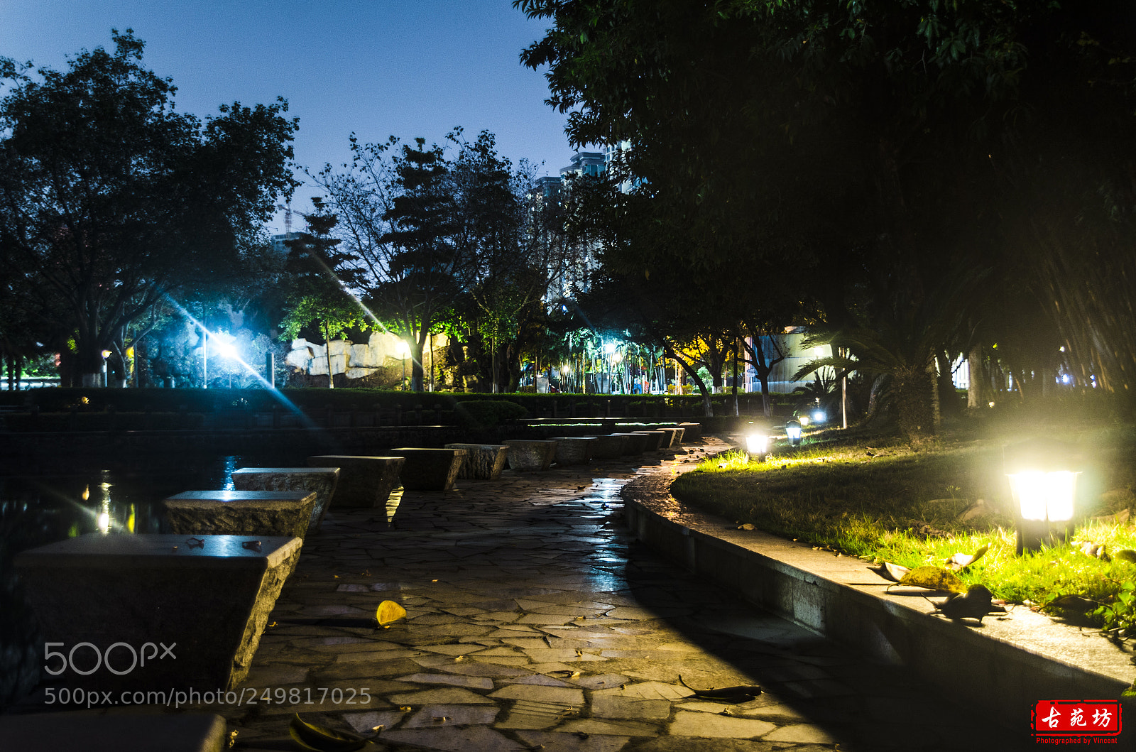 Nikon D7000 sample photo. The park photography
