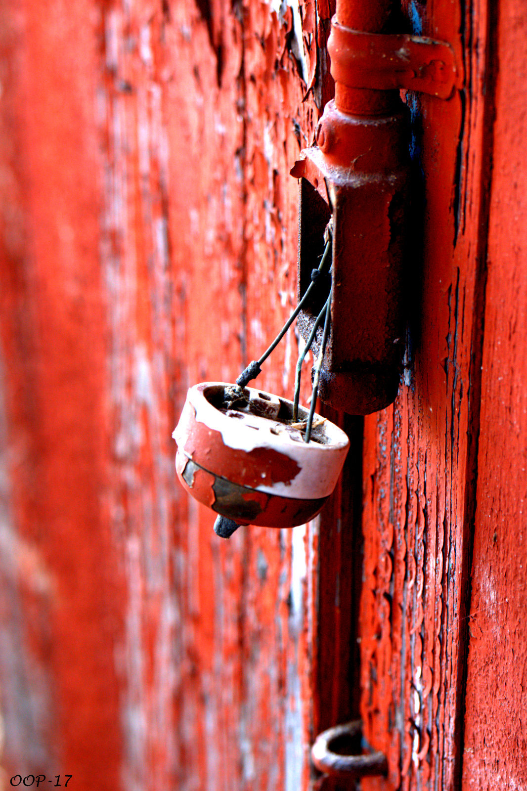 Canon EF-S 60mm F2.8 Macro USM sample photo. 8 photography