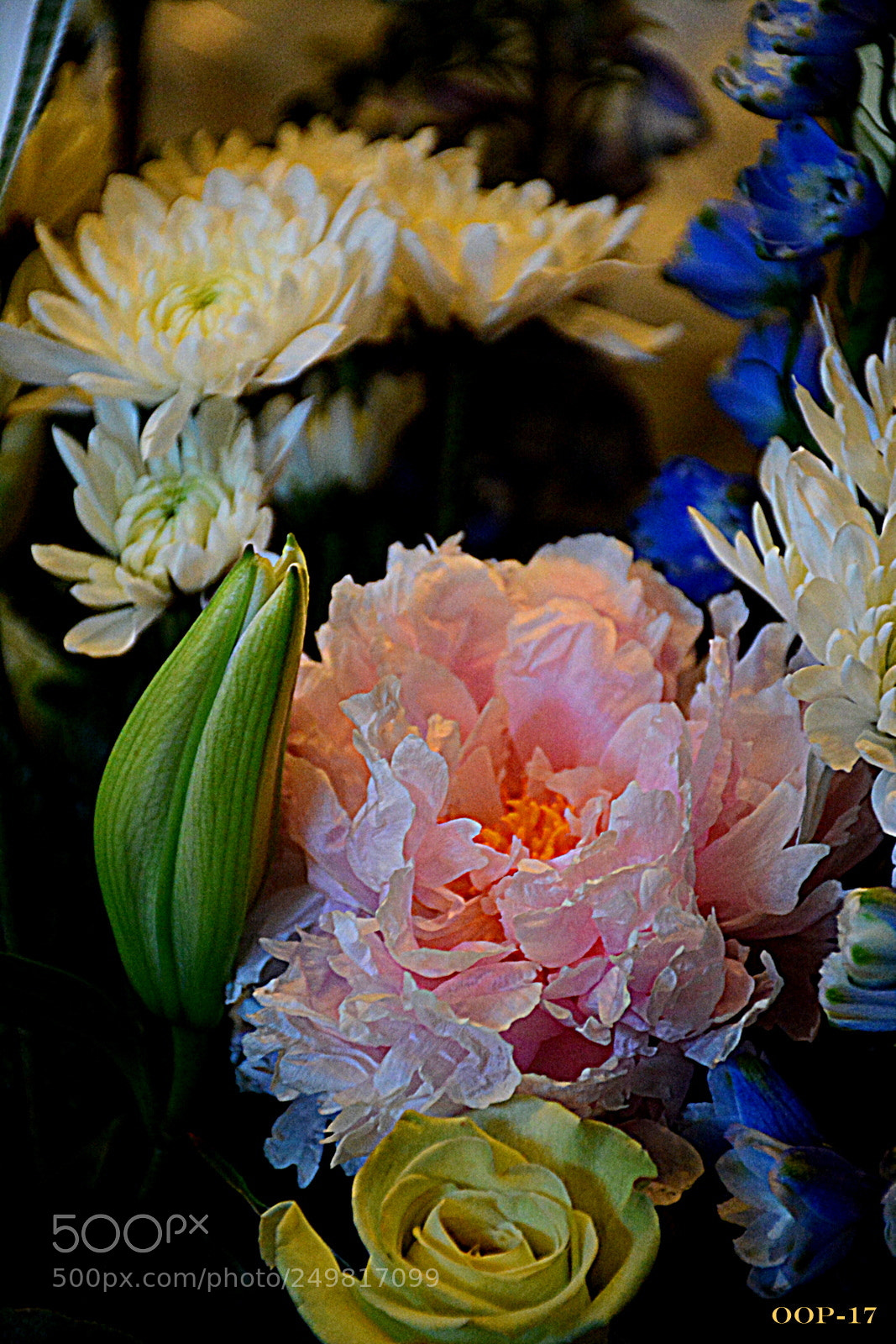 Nikon D7100 sample photo. Dsc photography