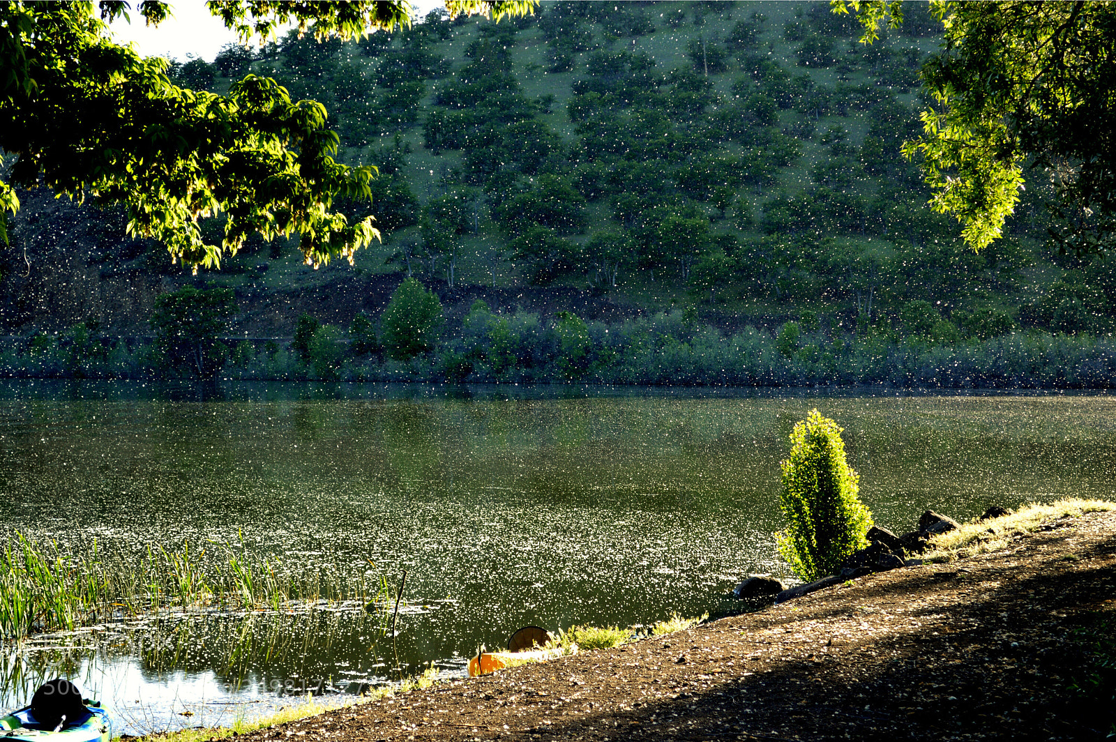 Nikon D3200 sample photo. Untitled photography
