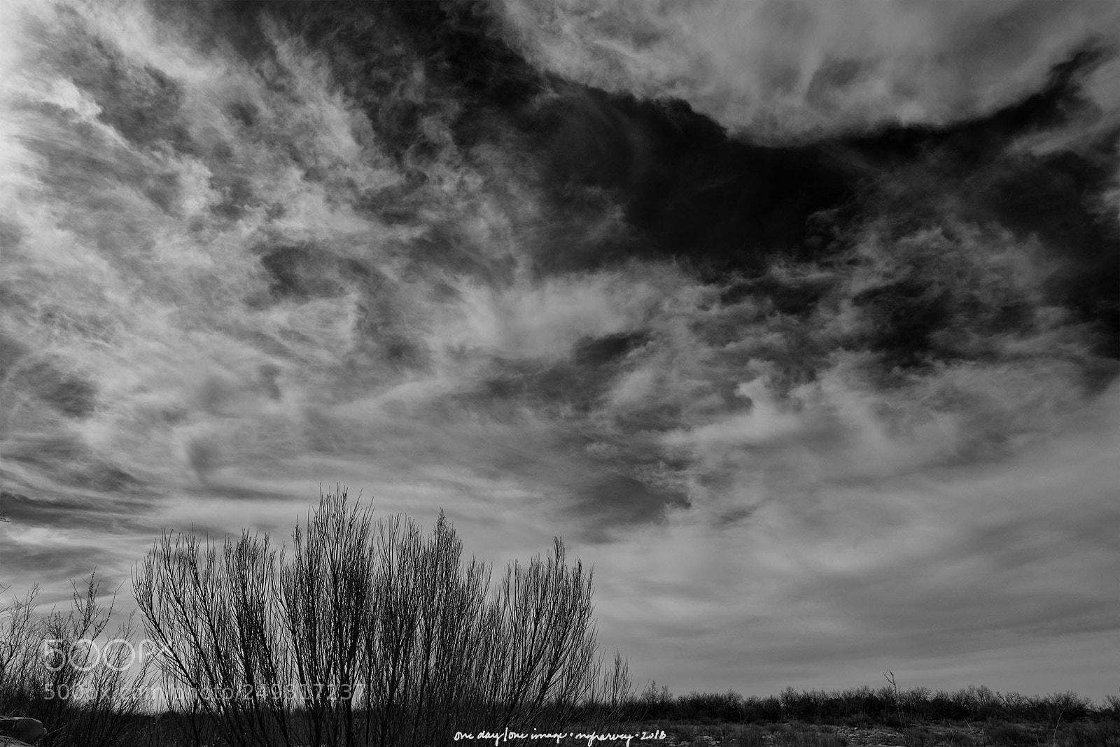 Nikon D810 sample photo. The sky takes a photography