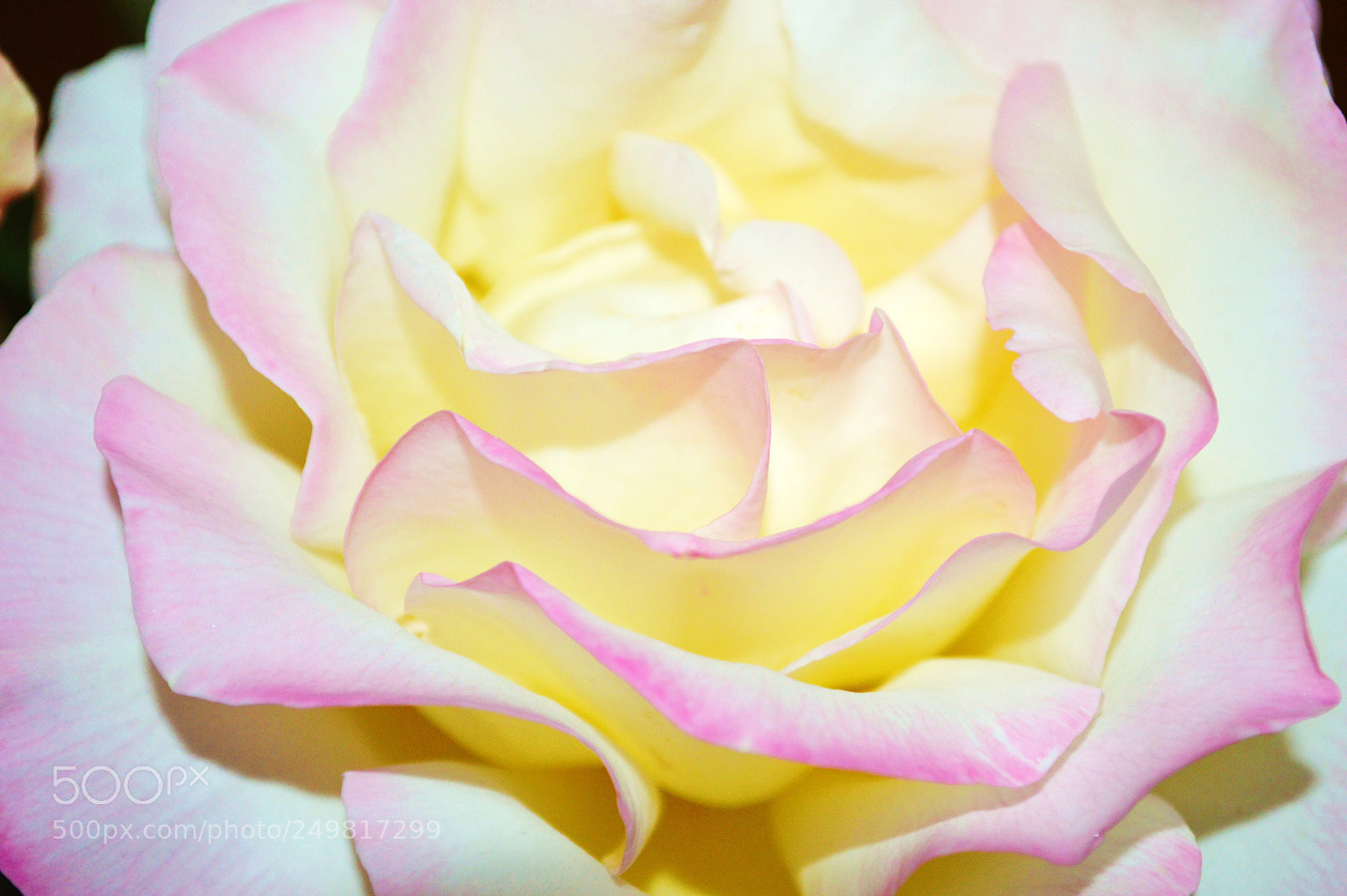 Nikon D3200 sample photo. Untitled photography