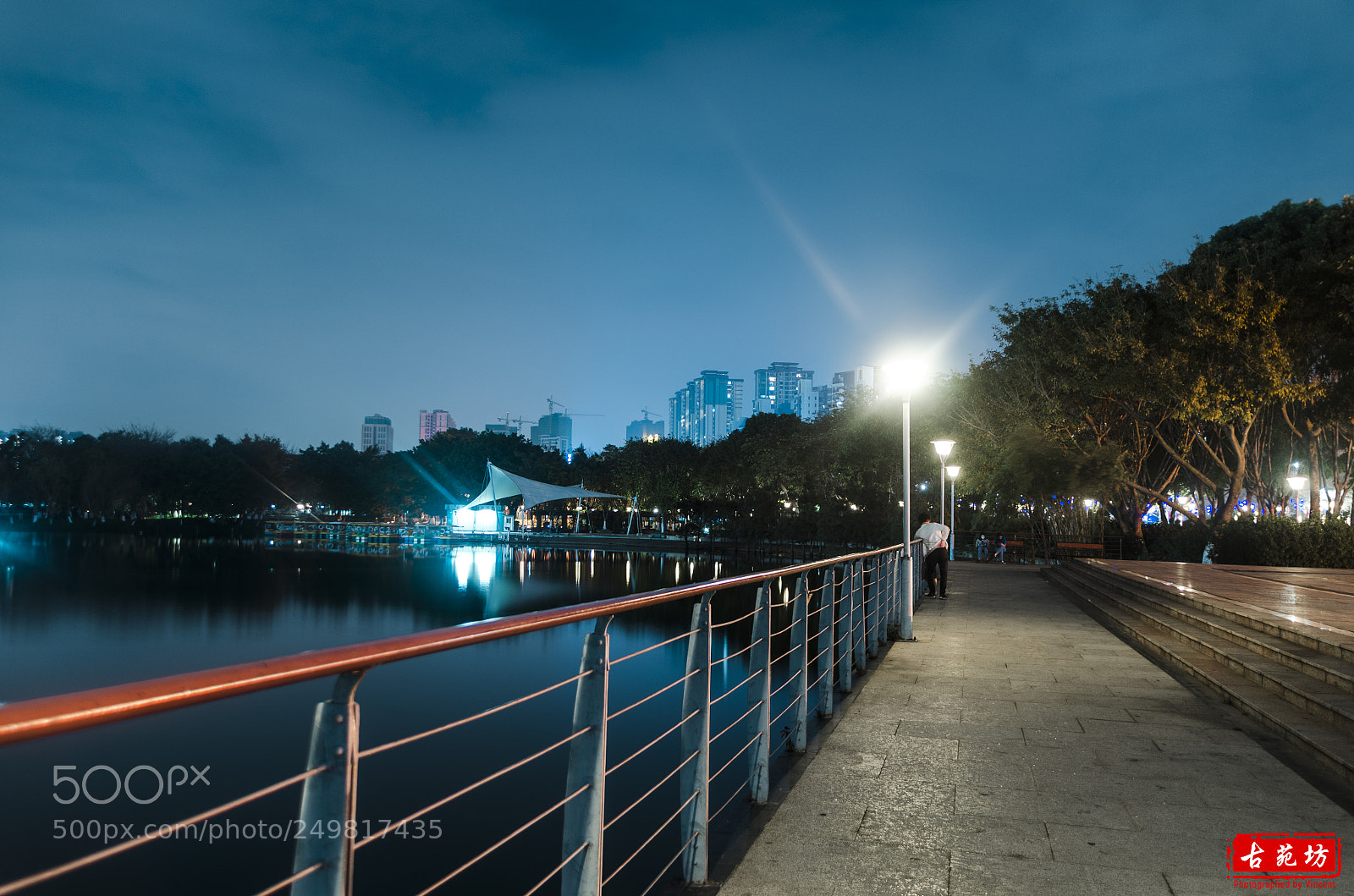 Nikon D7000 sample photo. The light photography
