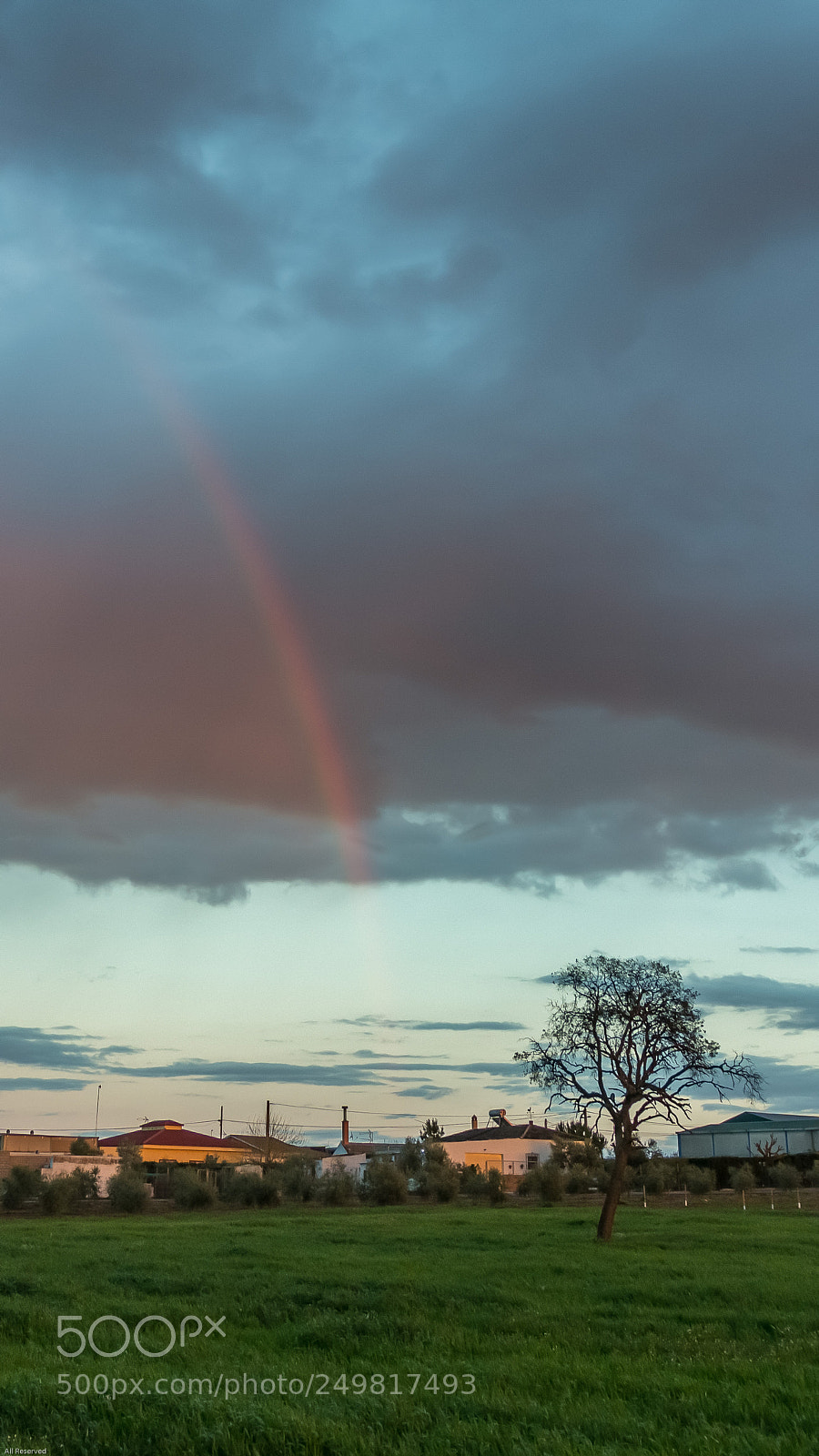 Canon EOS 60D sample photo. Rainbow photography
