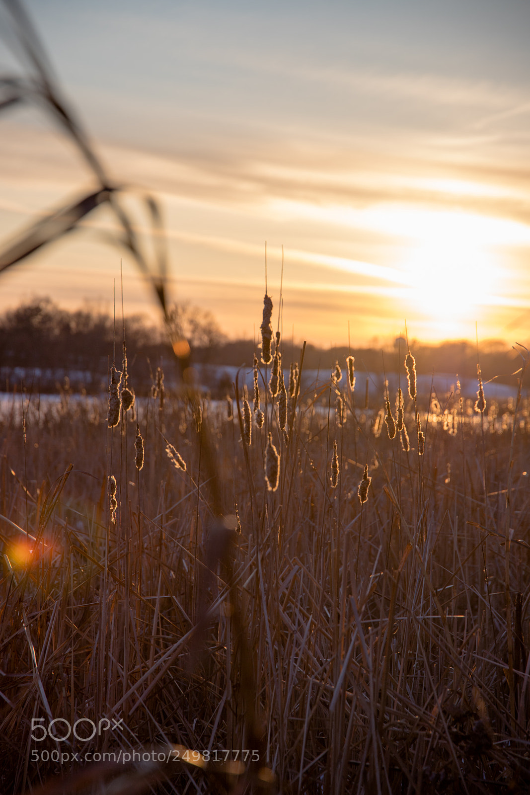 Canon EOS 6D Mark II sample photo. Sunshine photography