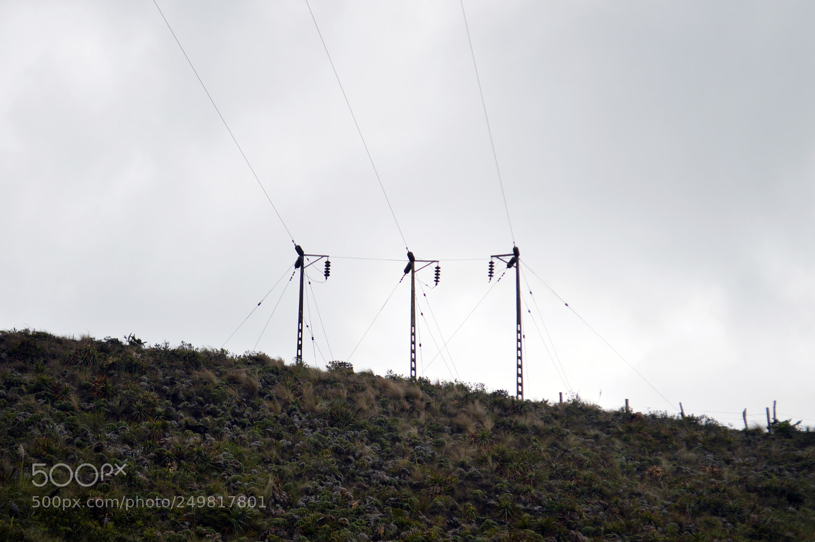 Nikon D3200 sample photo. Three verticals photography