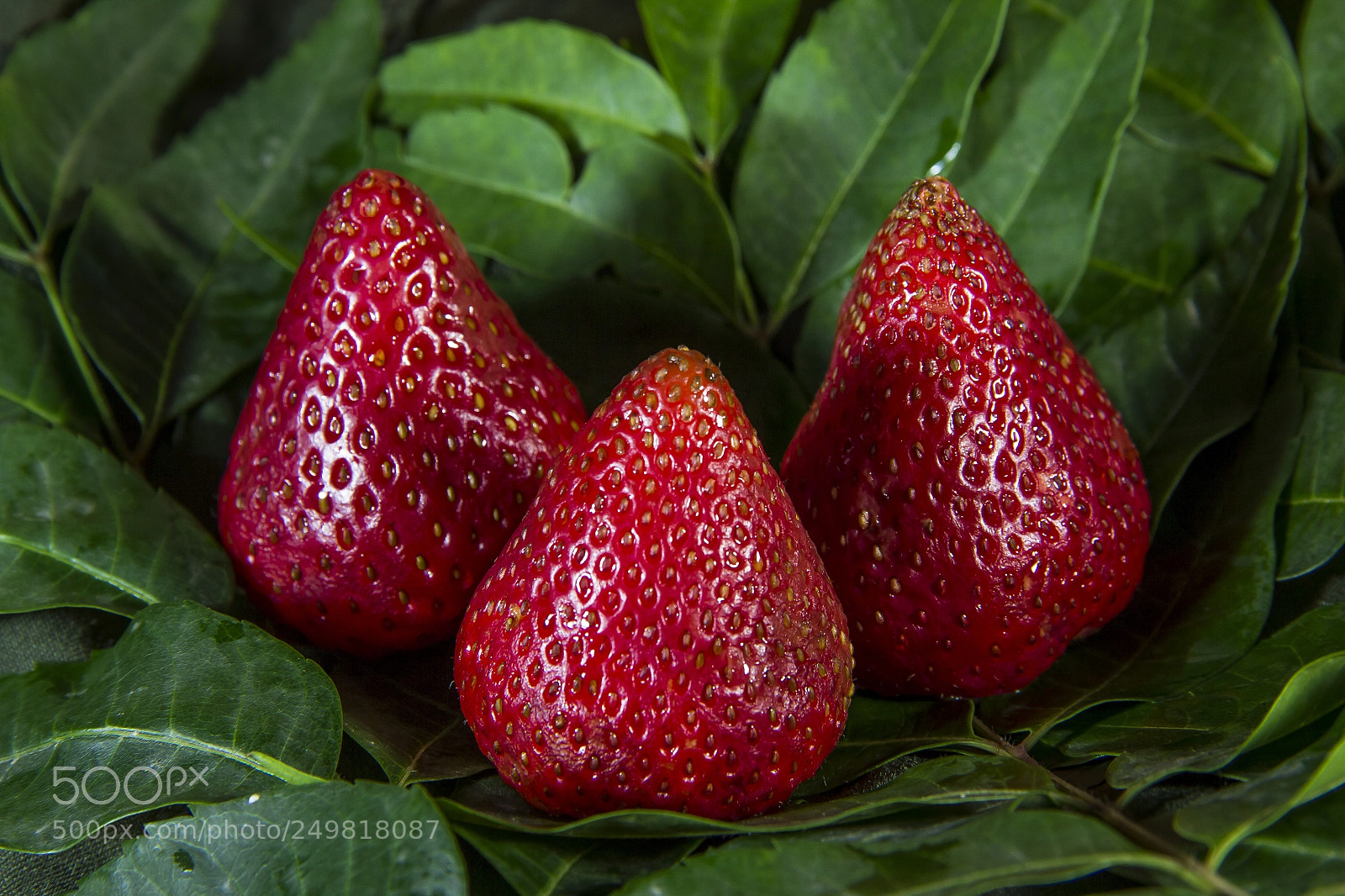 Canon EOS 60D sample photo. Fresas photography