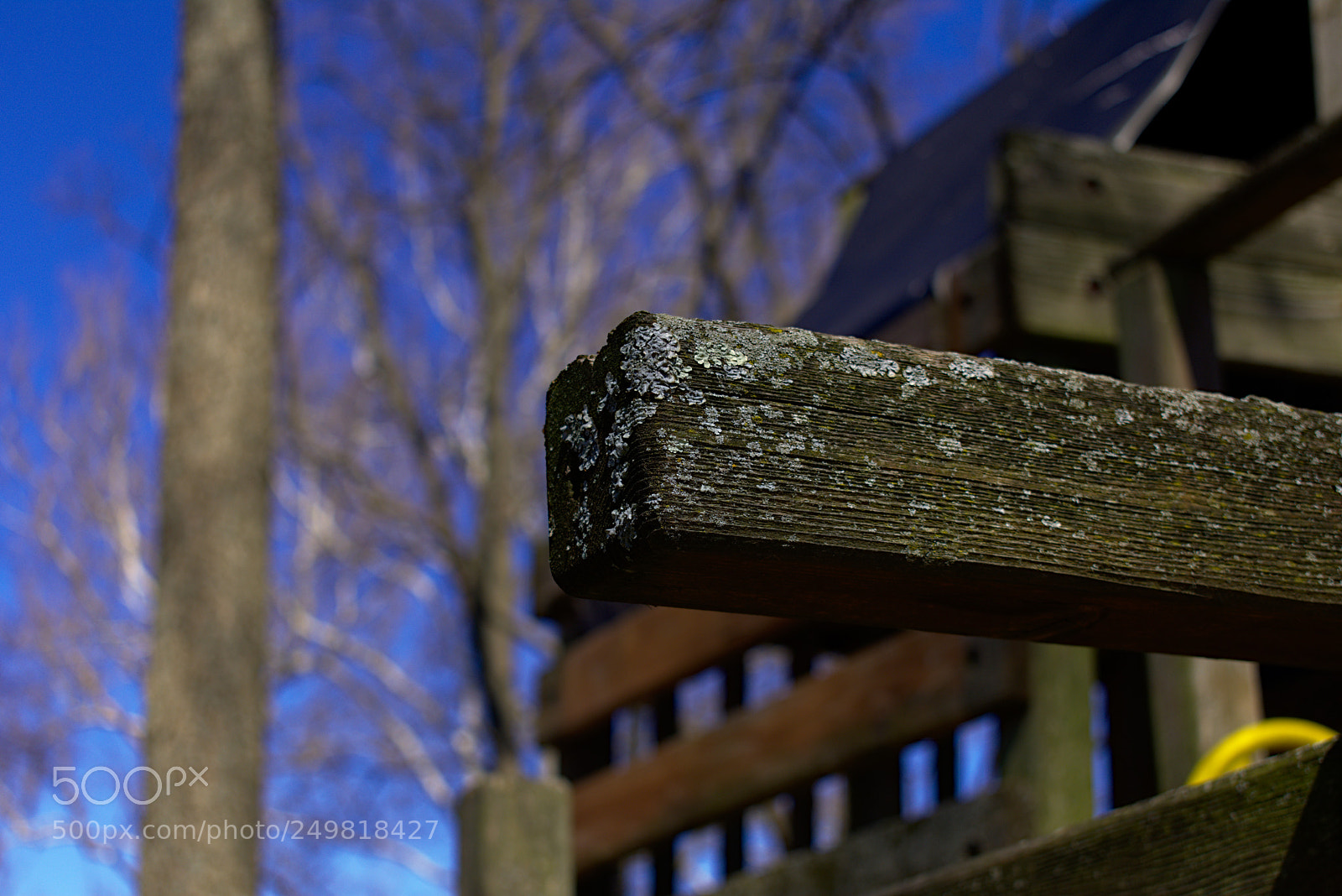 Nikon D7200 sample photo. Lichen-on post photography