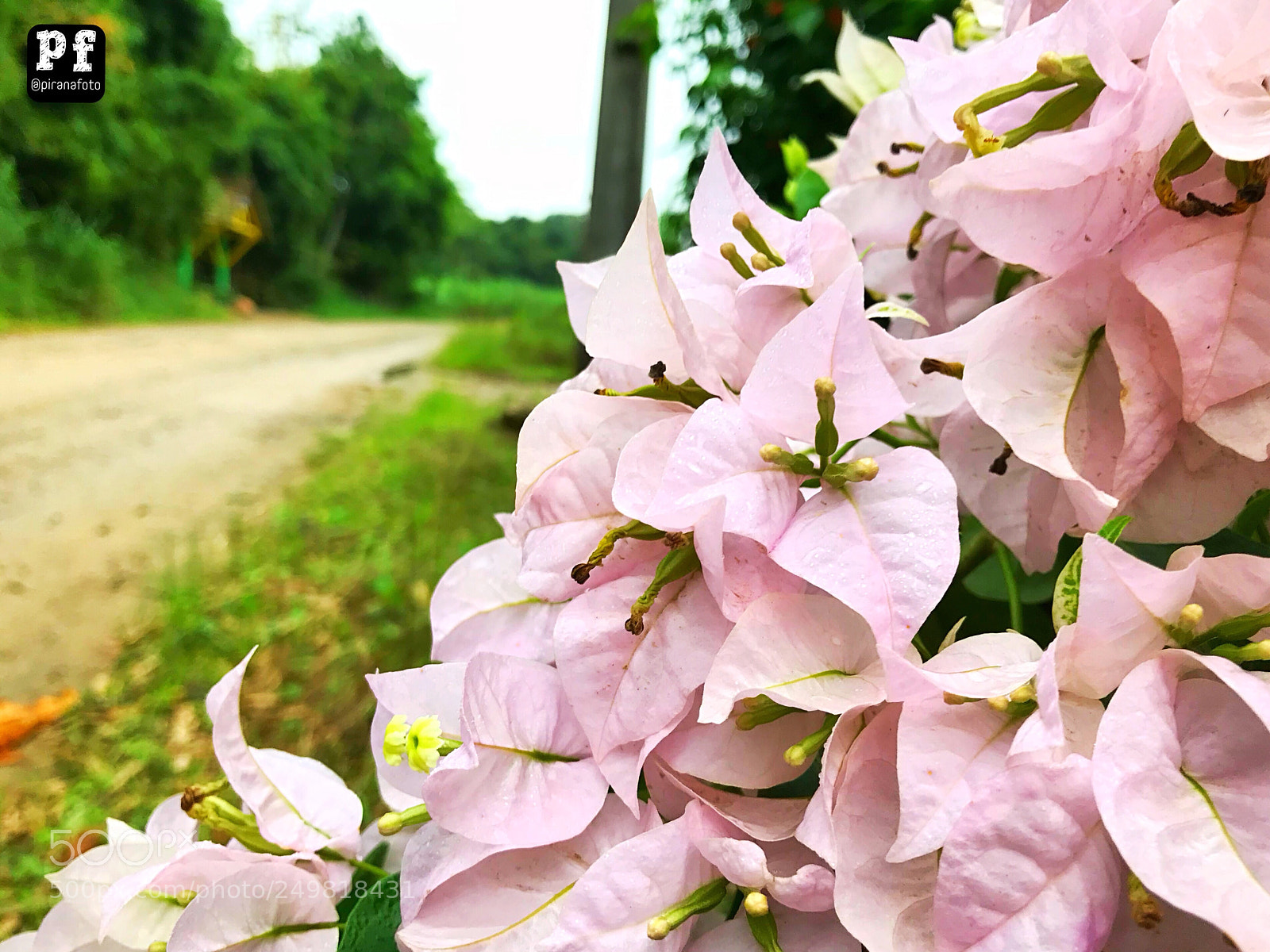 Apple iPhone 7 sample photo. Untitled photography