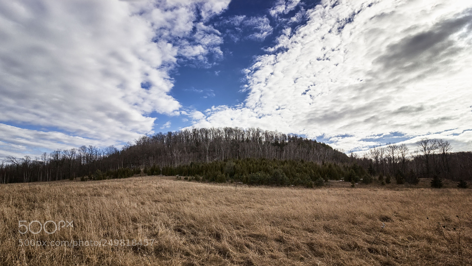Canon EOS 550D (EOS Rebel T2i / EOS Kiss X4) sample photo. Mono cliffs photography