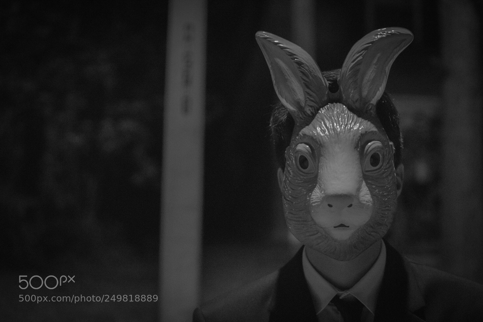 Nikon D3300 sample photo. Rabbit’s blood photography