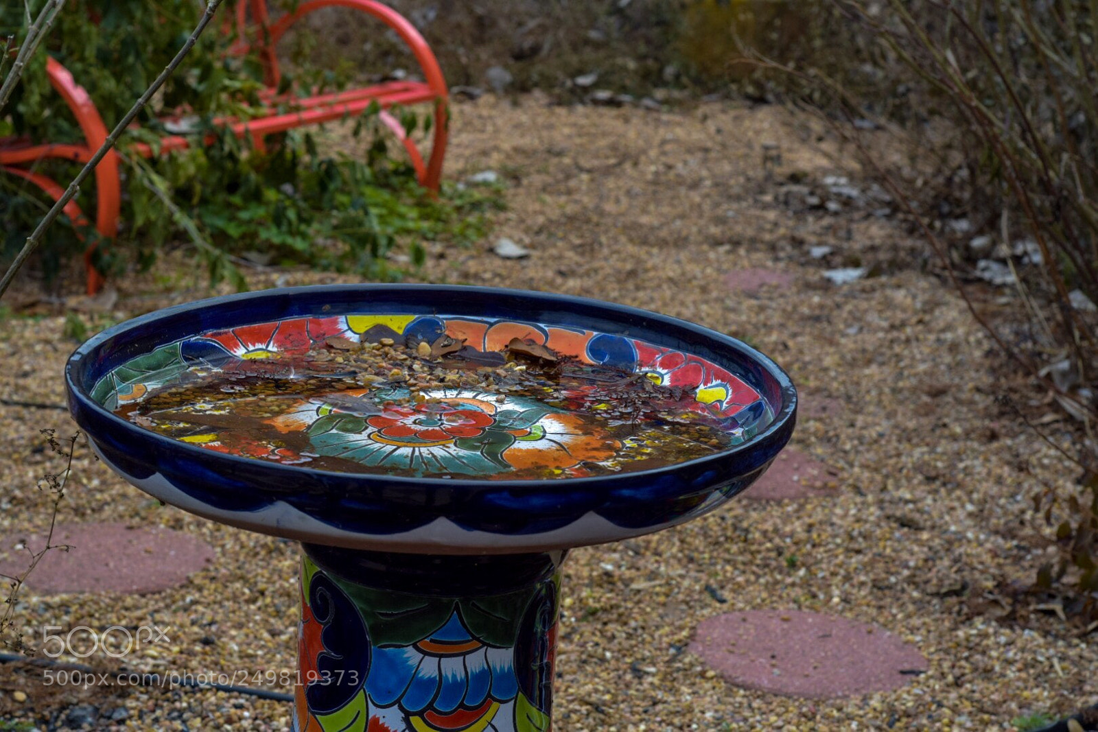 Nikon D3300 sample photo. Beautiful bird bath photography