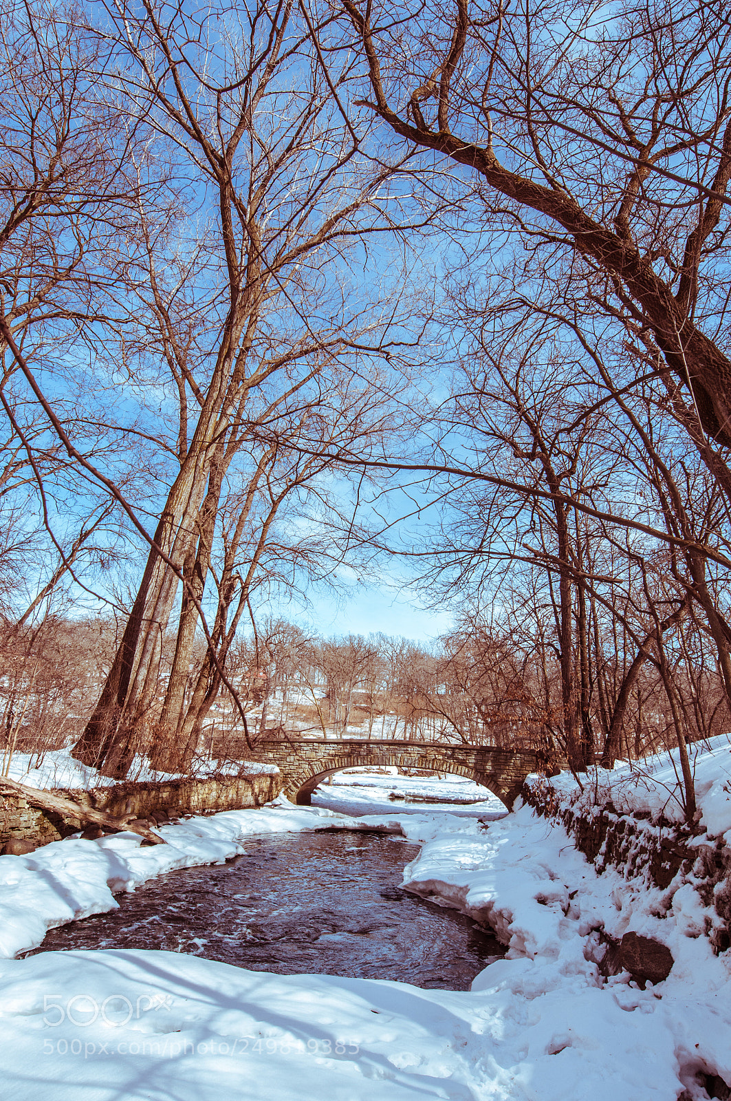 Nikon D300S sample photo. Spring stream in warm photography