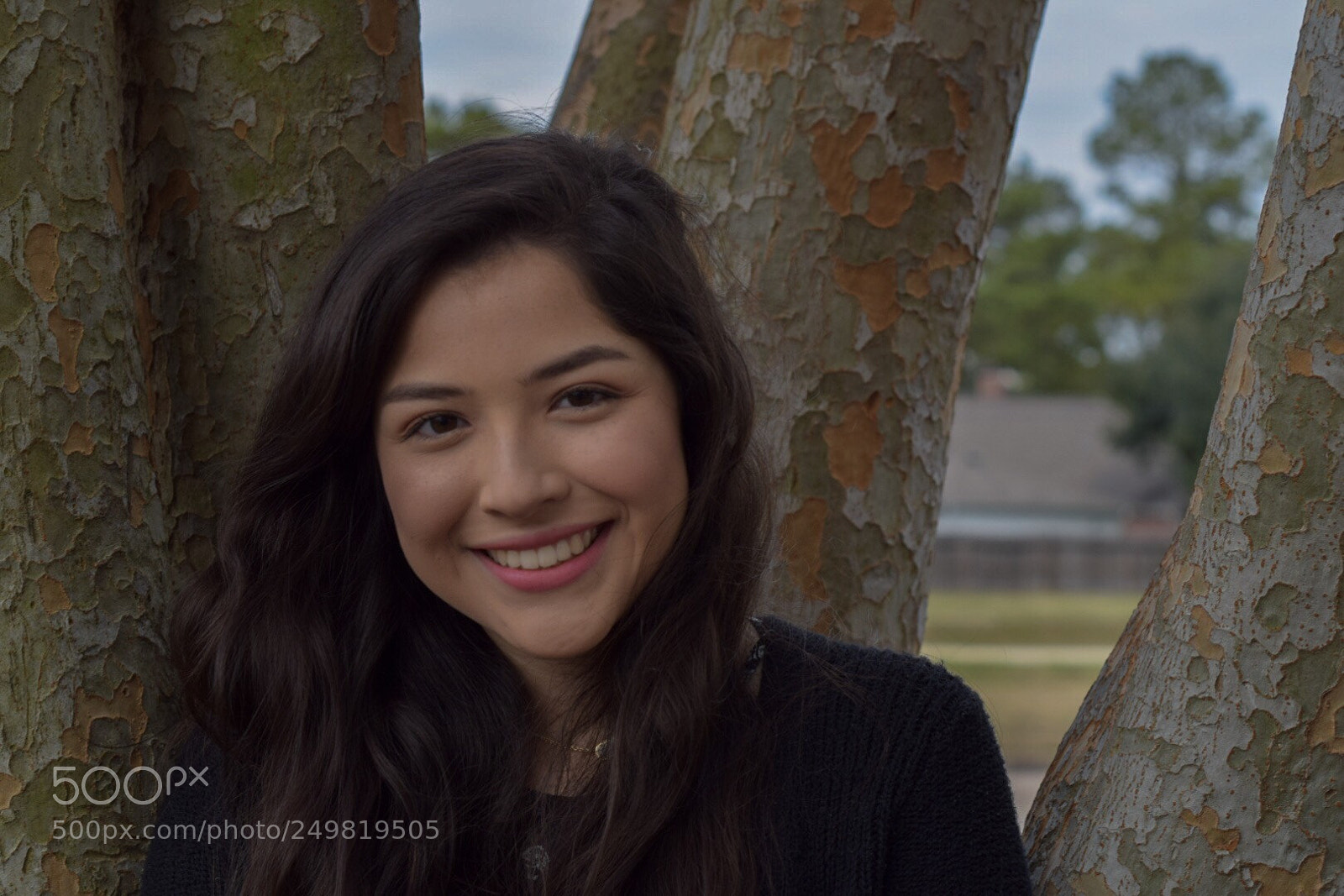 Nikon D3300 sample photo. In the trees photography