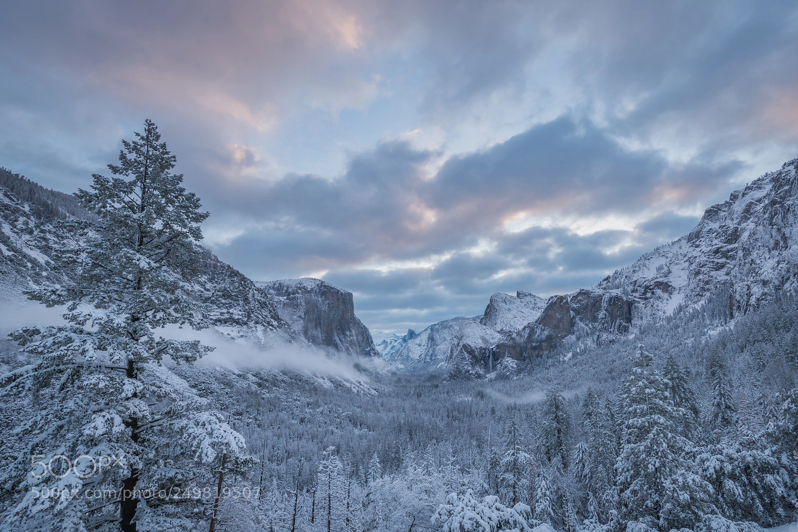 Nikon D850 sample photo. Winter wonderland photography
