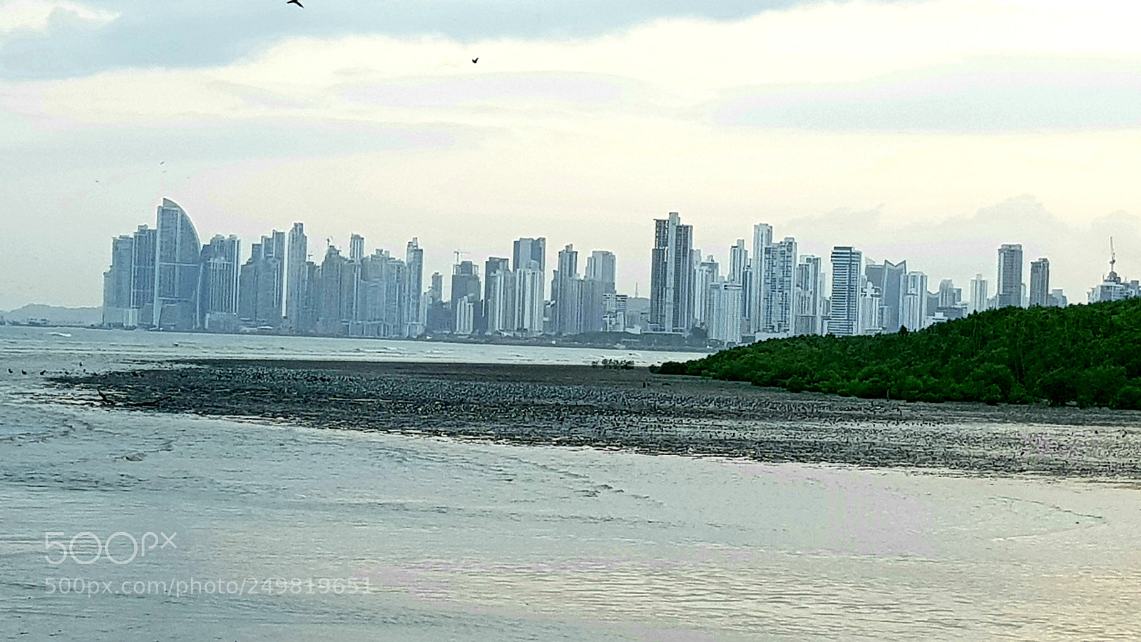 Samsung Galaxy S8+ sample photo. Untitled photography