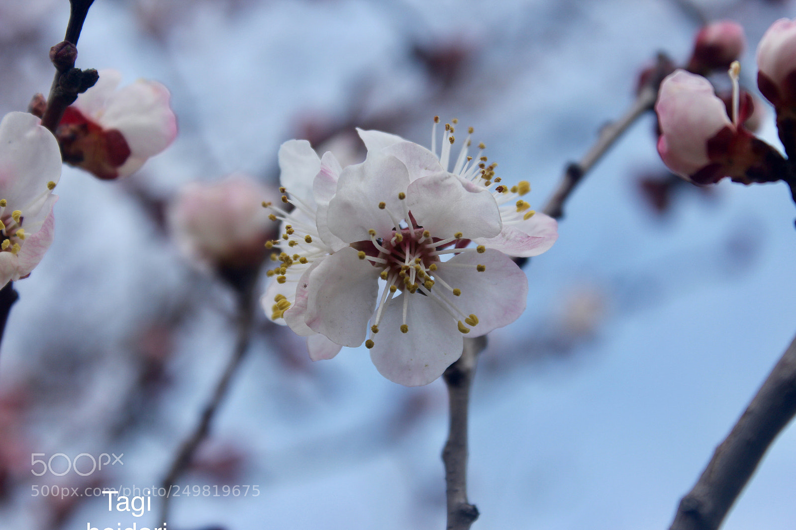 Canon EOS 600D (Rebel EOS T3i / EOS Kiss X5) sample photo. Untitled photography